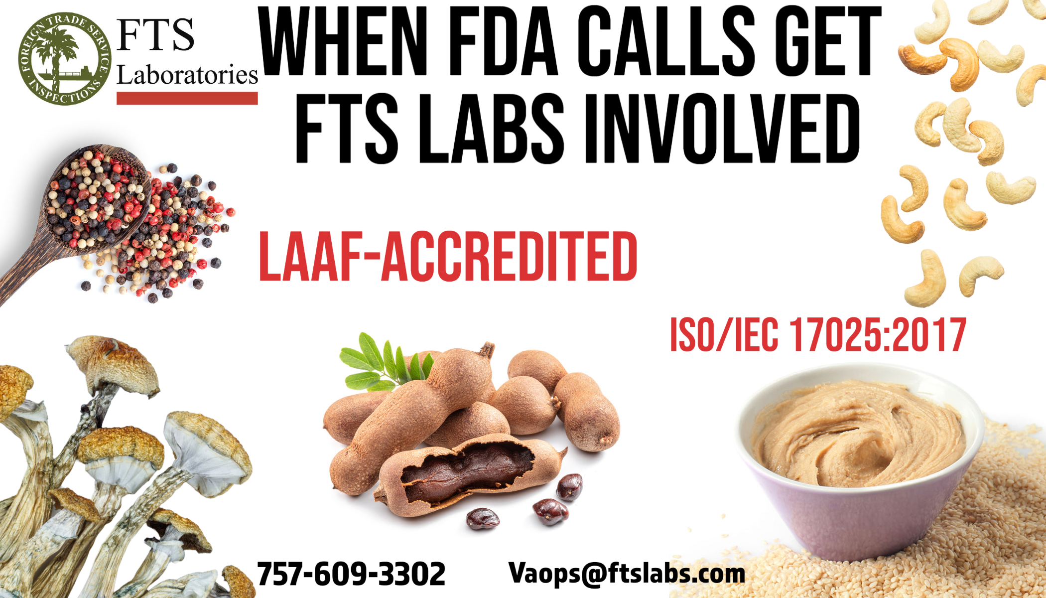 A promotional graphic for FTS Laboratories featuring the slogan "When FDA Calls, Get FTS Labs Involved". The image includes various food ingredients such as dried mushrooms, a mixture of whole and cracked open tamarind pods, cashew nuts, and a bowl o