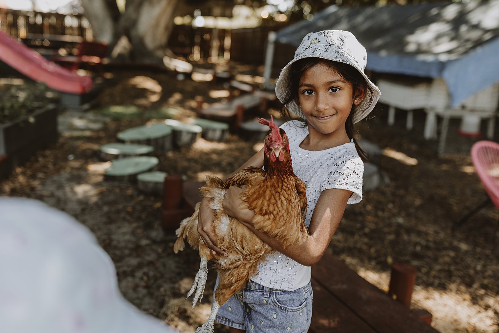 The Main Yard - Chicken Coop