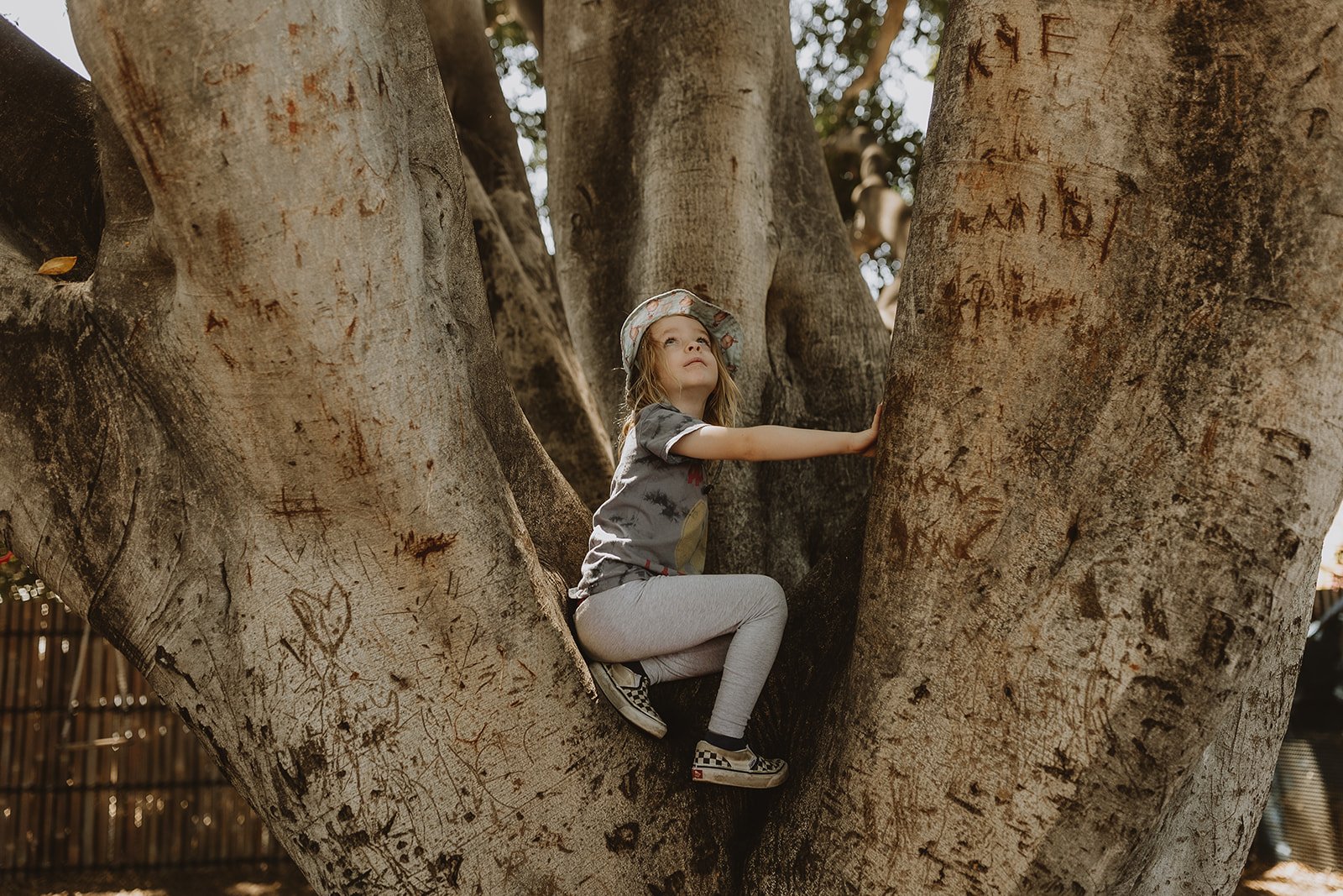 The Main Yard - Nature Play