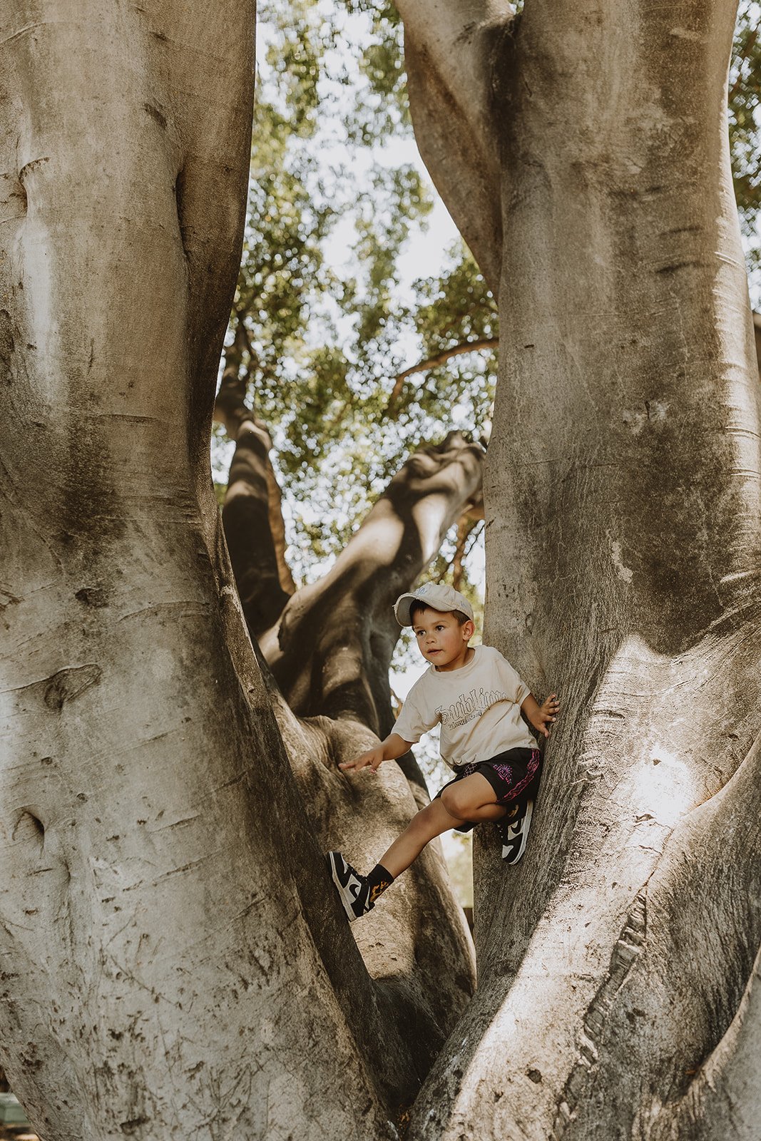 The Main Yard - Nature Play