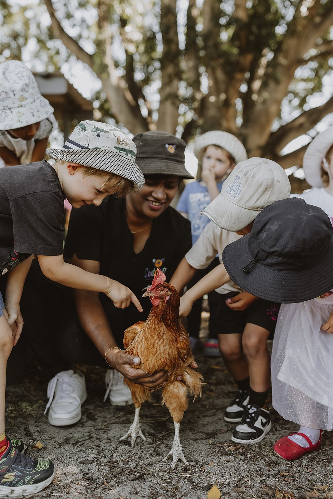 The Main Yard - Chicken Coop