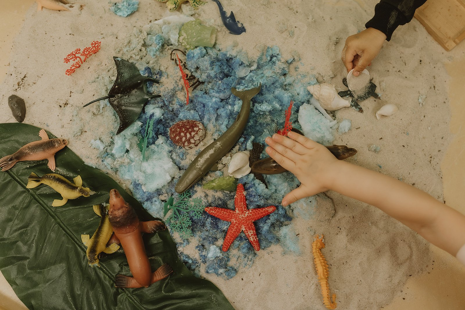 Toddlers Room