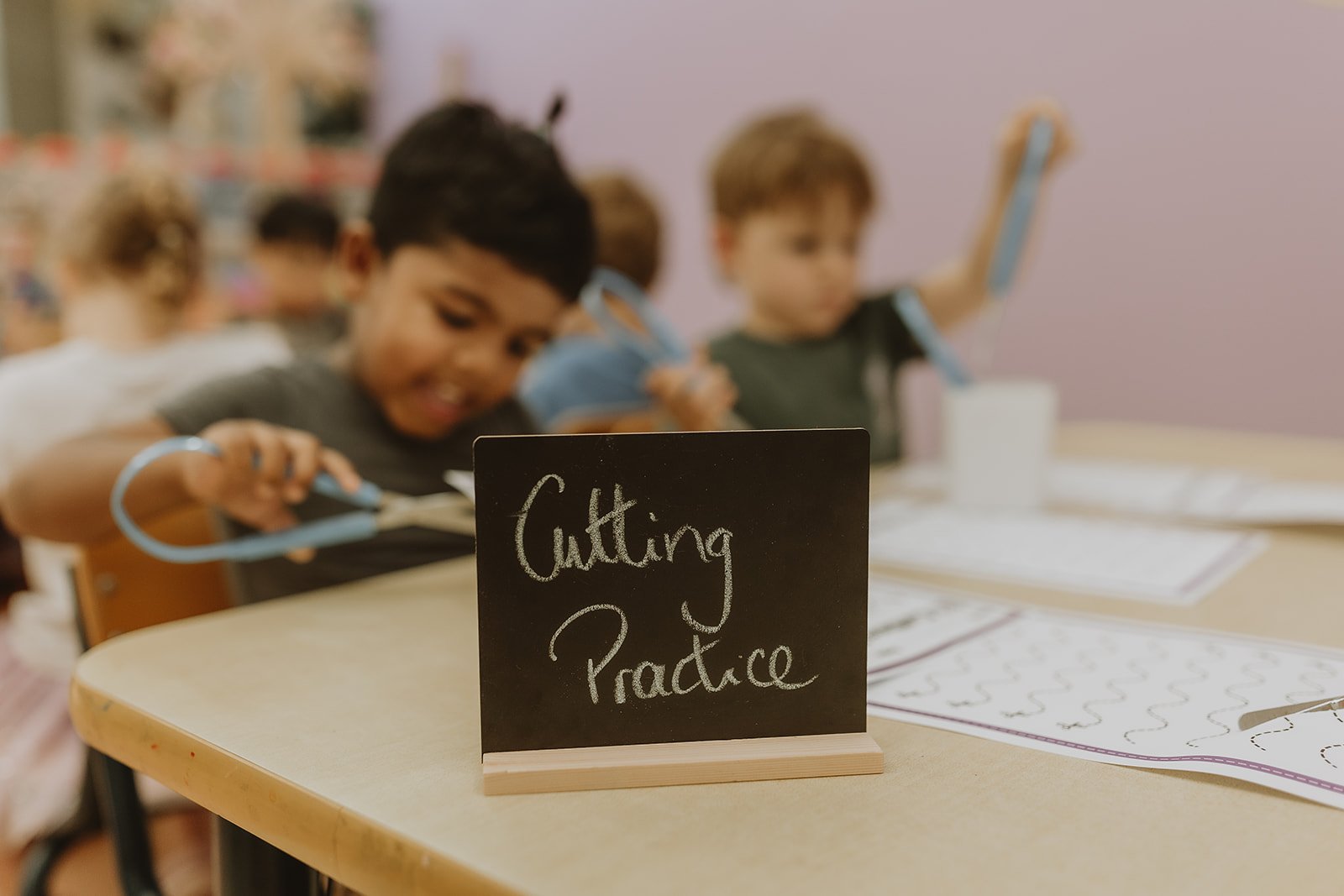 Jolly Phonics - Literacy & Numeracy Program