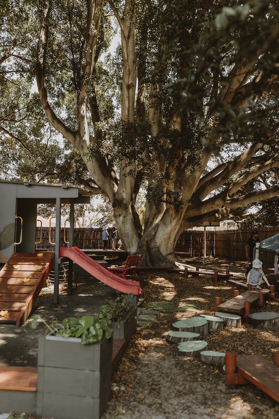 The Main Yard