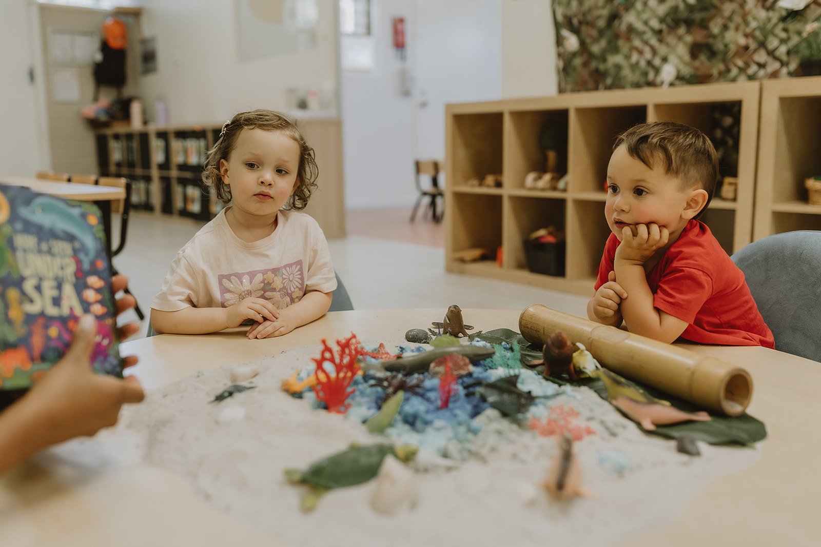 Toddlers Room