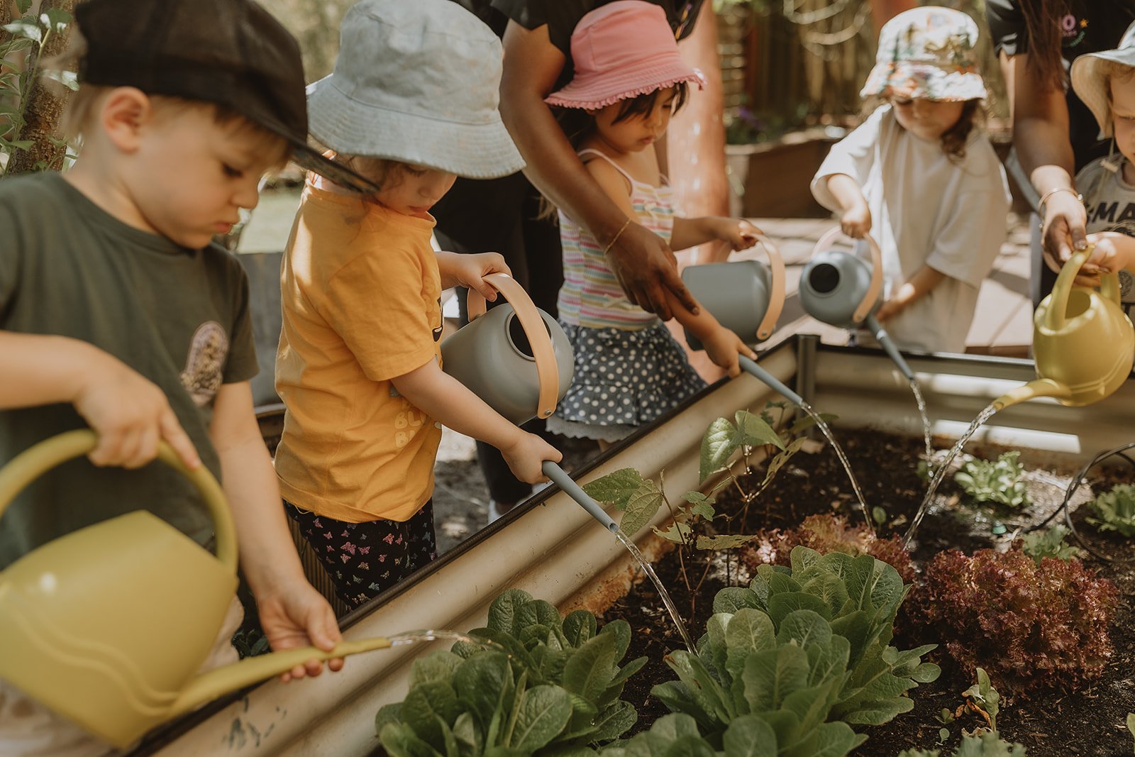 The Main Yard - Sustainability Garden