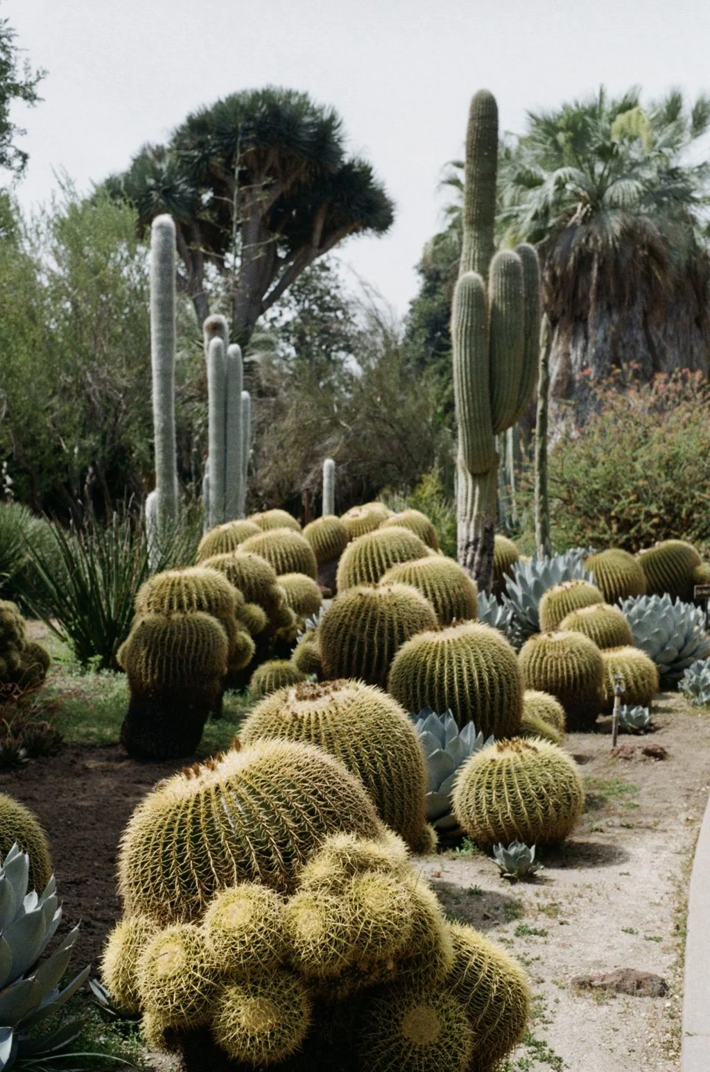 Sonic Sundays — Edition 001