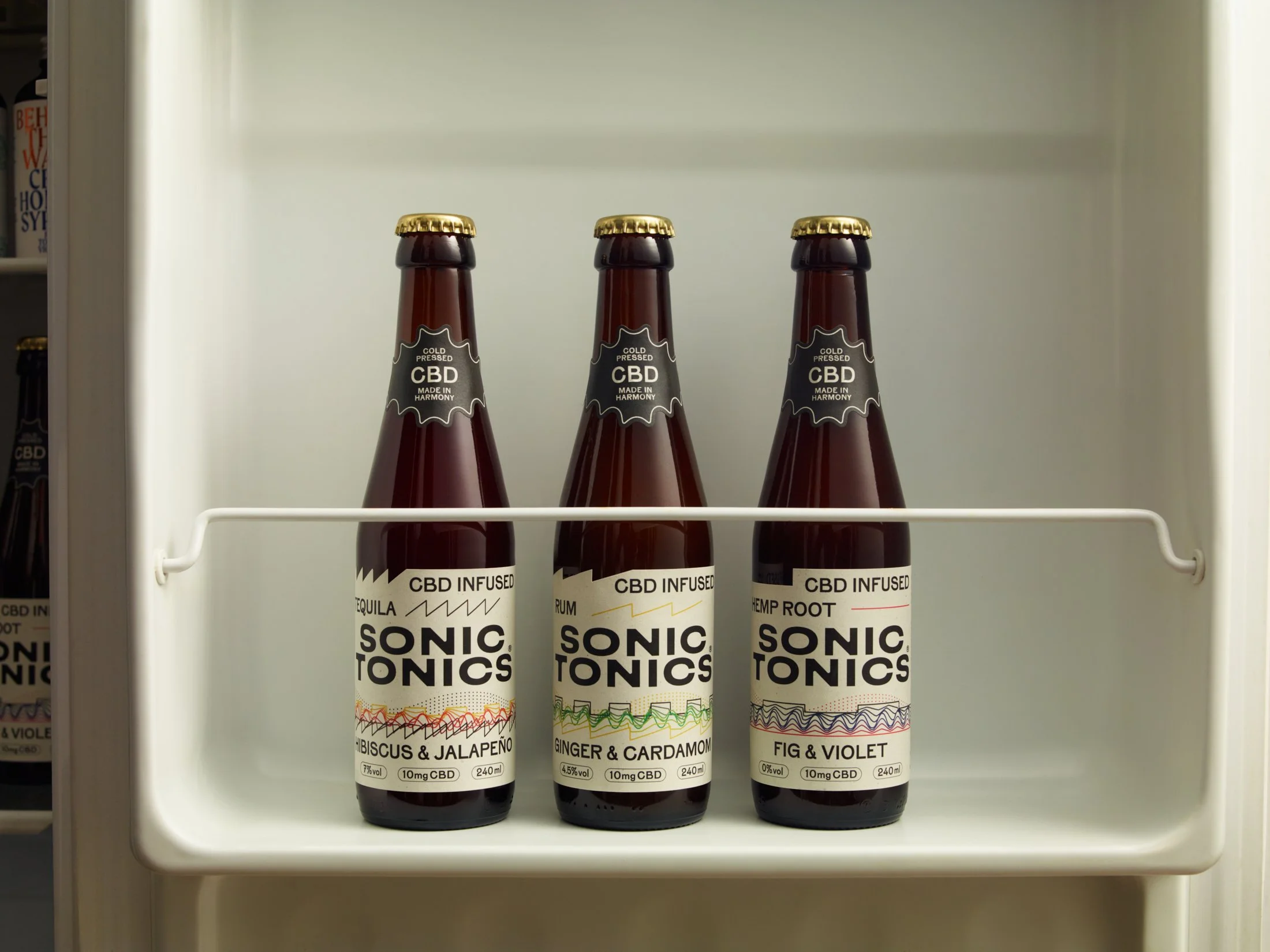 251023_Sonic Tonic82804 copy.jpg