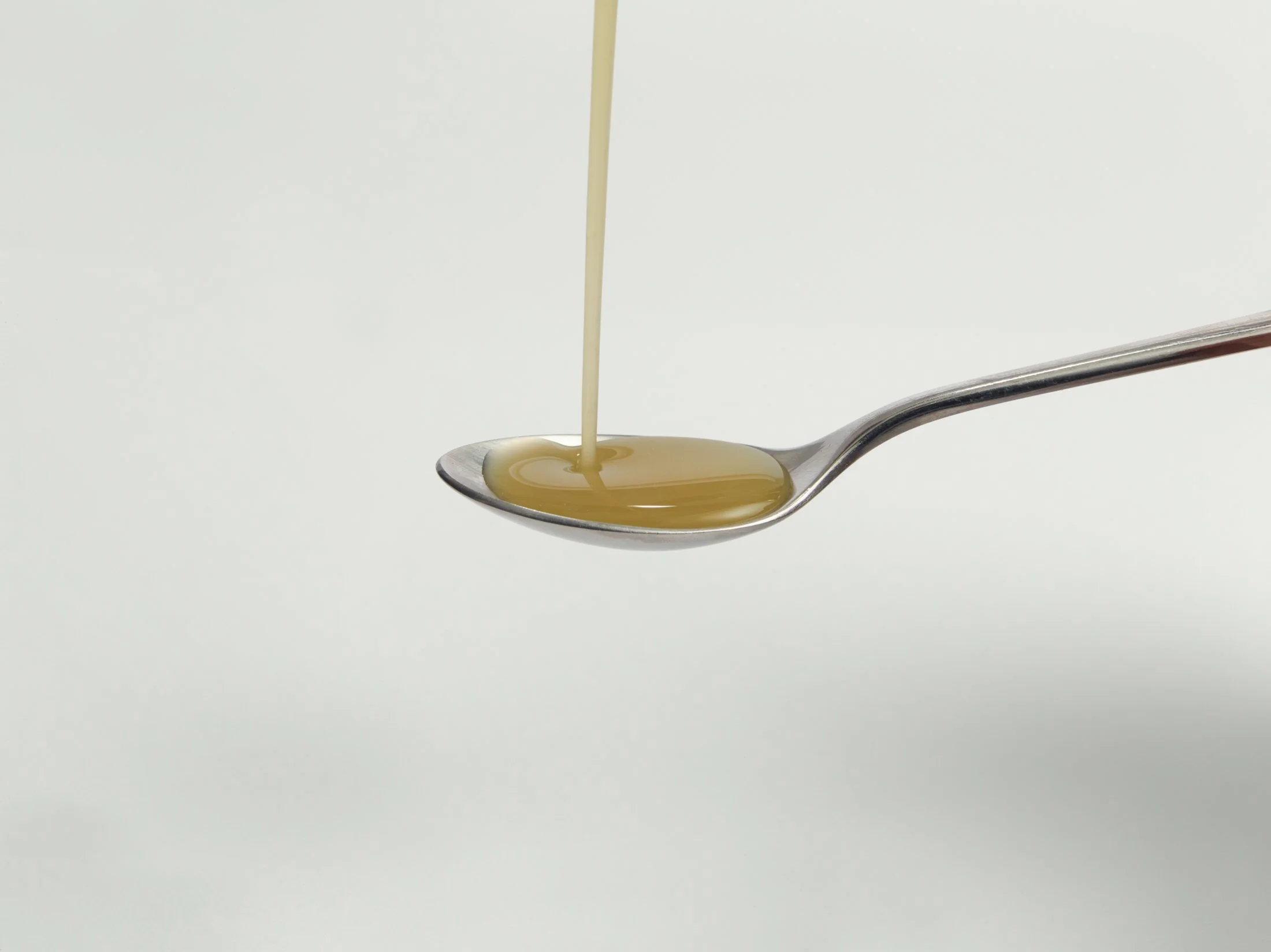 251023_Sonic Tonic82774_oil1 copy.jpg