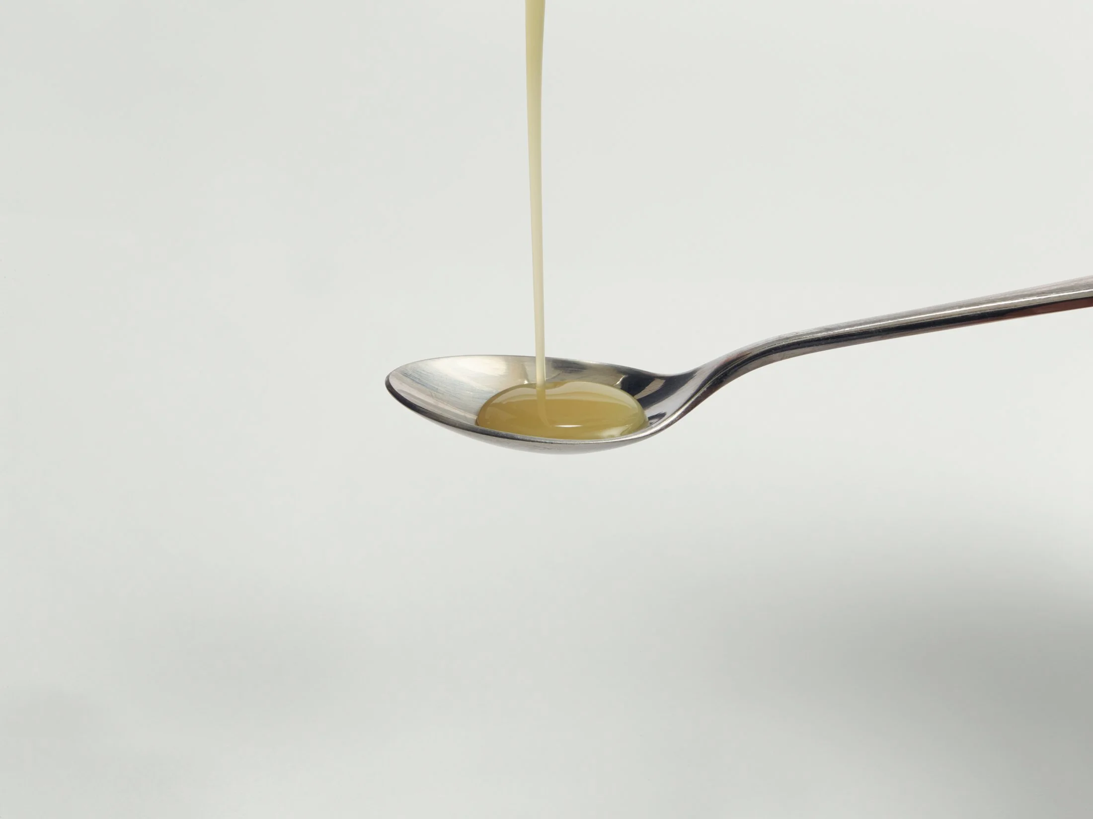 251023_Sonic Tonic82774_oil3 copy.jpg