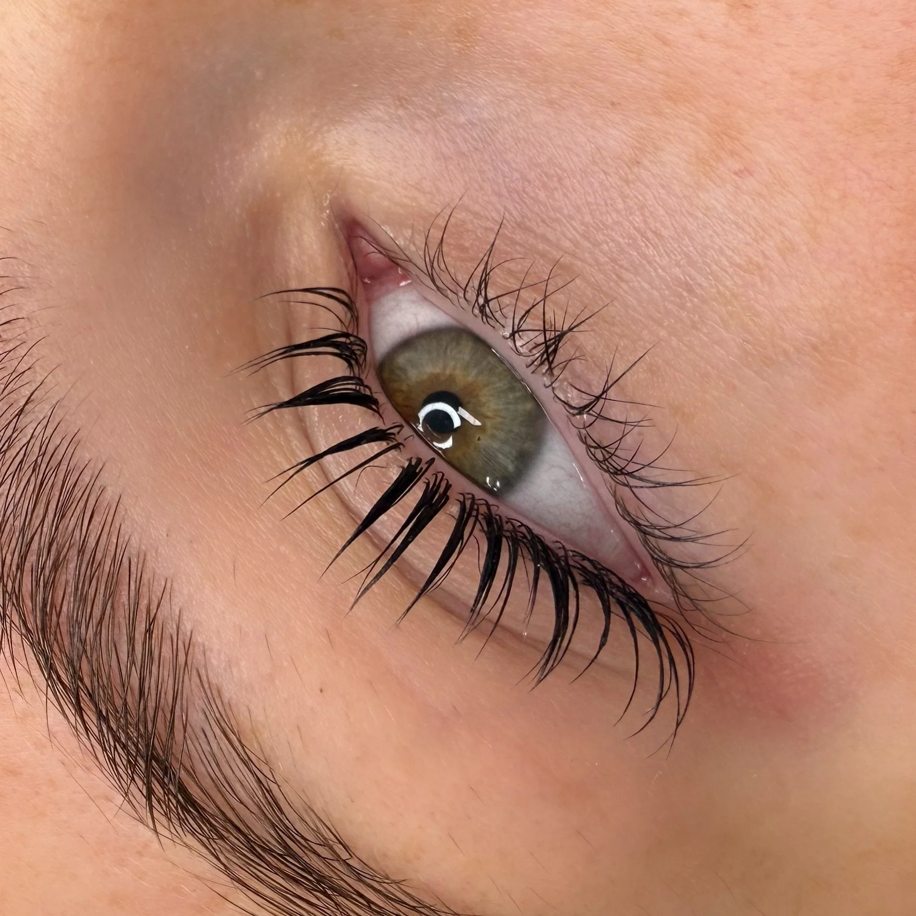 Forever obsessed with lash lifts 🤎
Traditional lash lift + btx 
Therapist: Kloe

#lashlift #lashbotox #koreanlashlift #melbournelashlift #lashesarelife