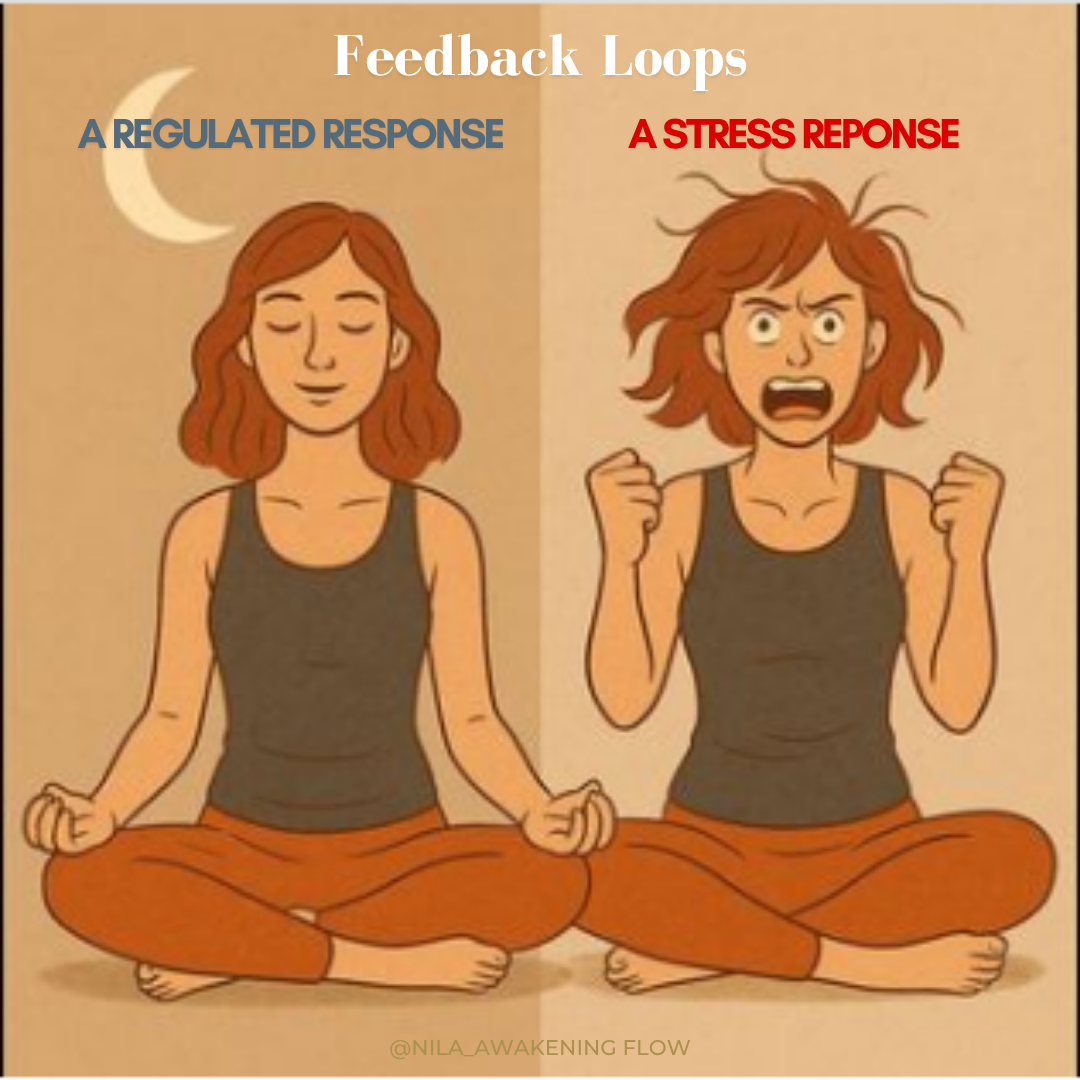 🌙 Yoga: Zen or Shadow?&nbsp;How good are you with feedback? Learn how to elevate yourself for Success (…on the mat, or in the office)
