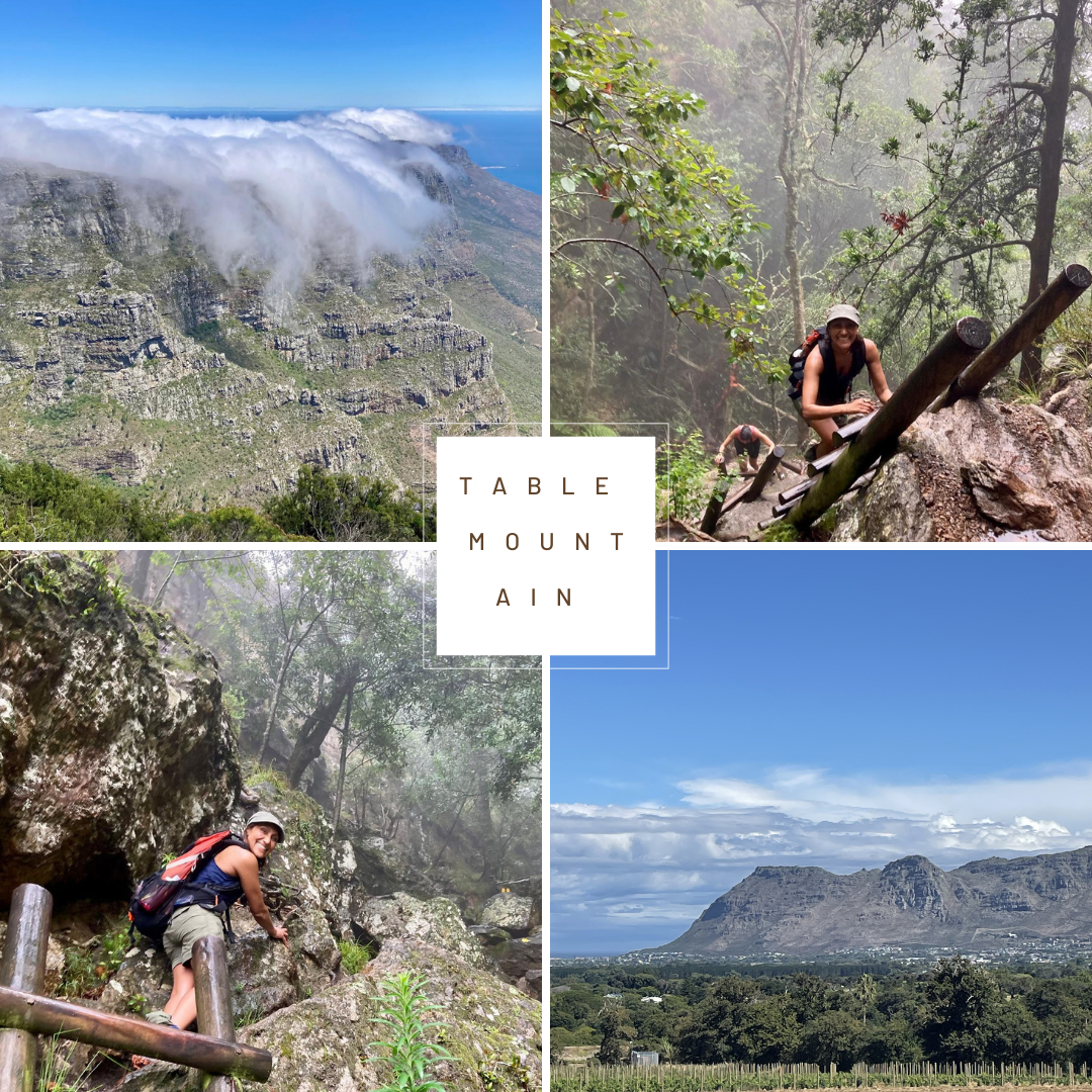 Stalled, Distracted, Depleted? Sometimes we need to remember what we loved - and start from there!