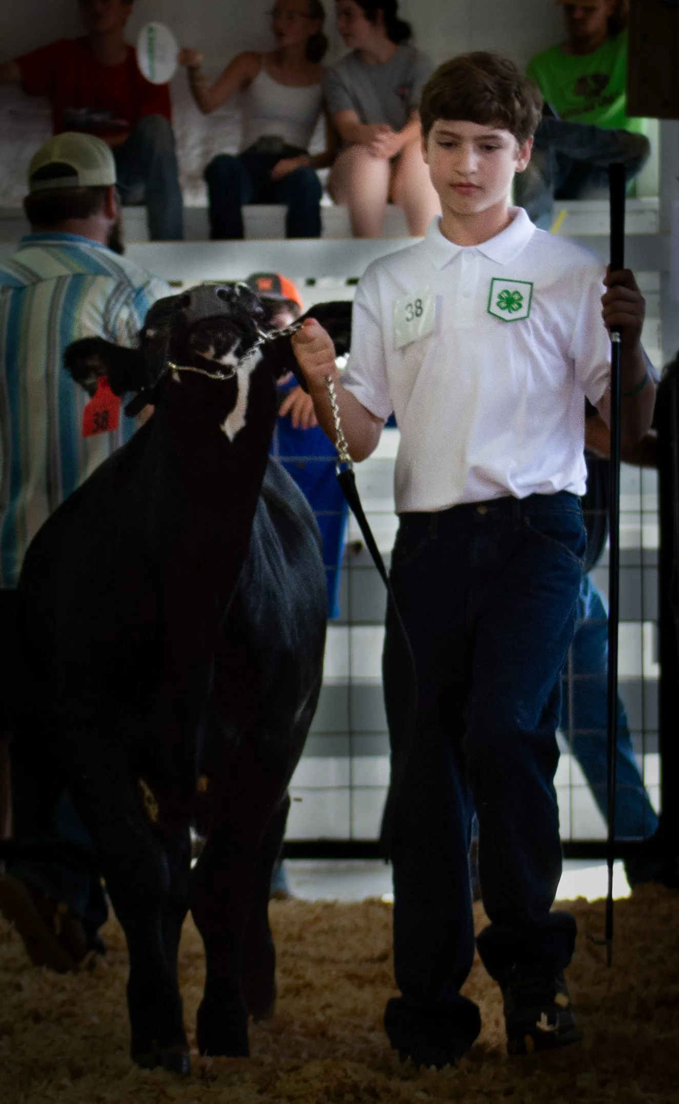 stubborn Cow and Strong Owner_0319 .jpg