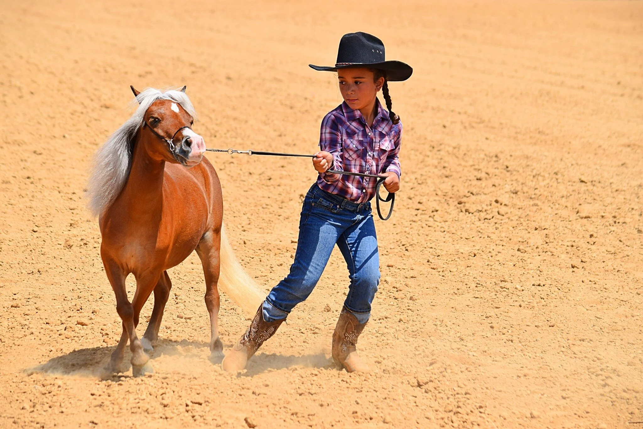 Jackson County Junior Fair Youth Open Jackson County Junior Fair Jackson County Junior Fair Youth Open Jackson County Junior Fair