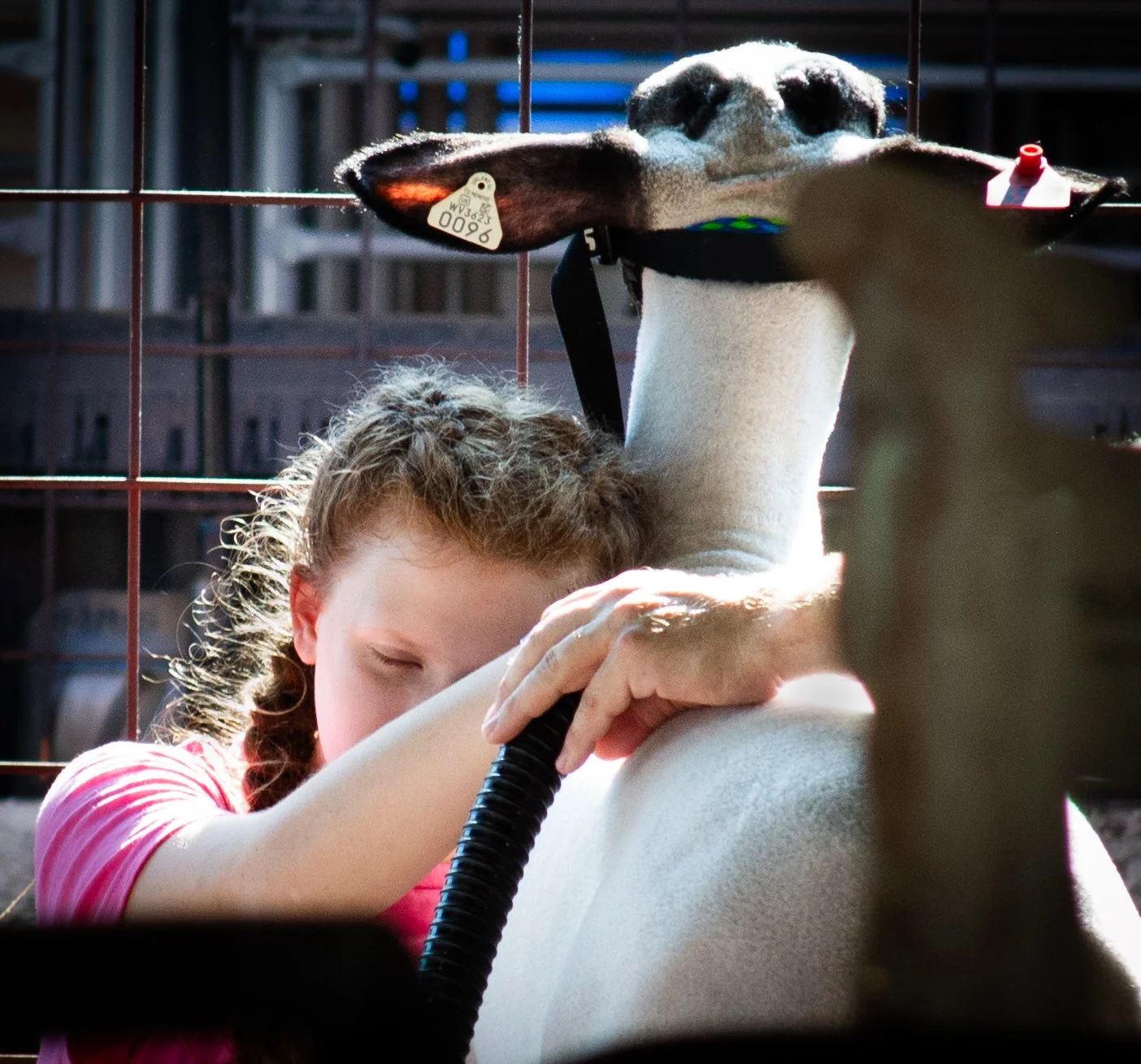 Addy Holing Lamb_0086 .jpg