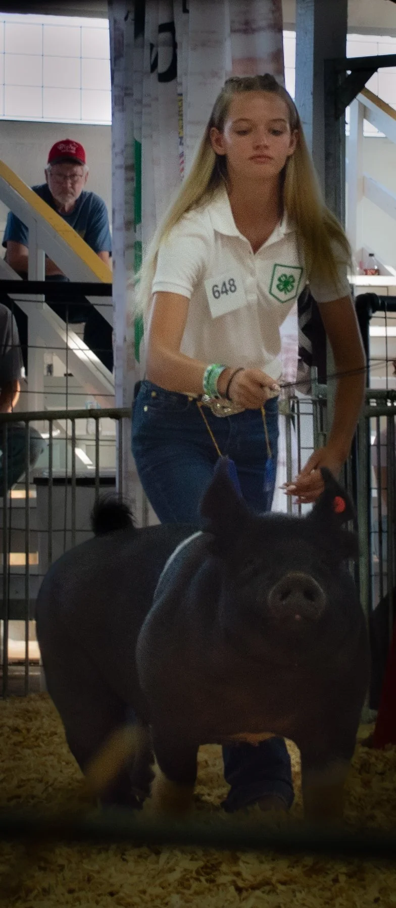 Having a Nice Walk in Arena_0565 .jpg