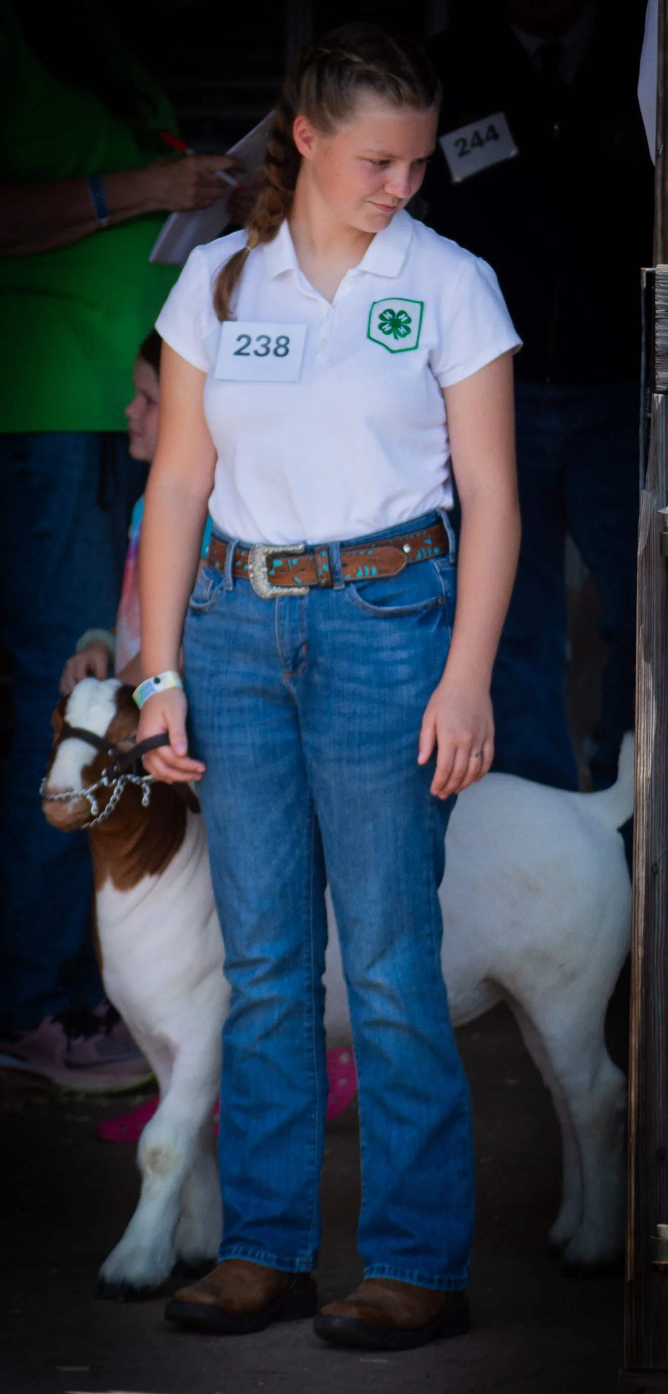 Ready to go in show Arena_0343 .jpg