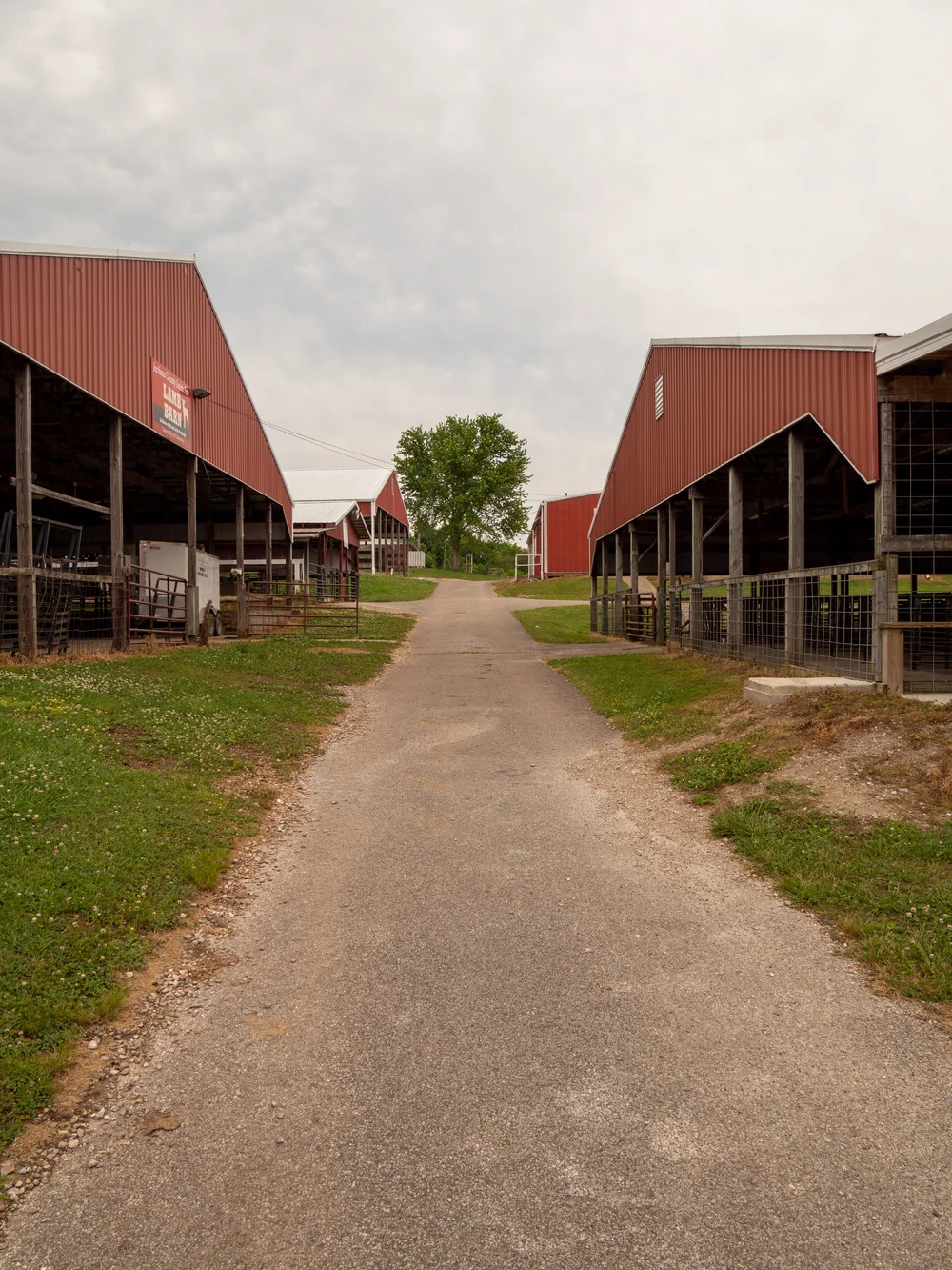 jackson-county-junior-fair-contact-us-jackson-county-junior-fair