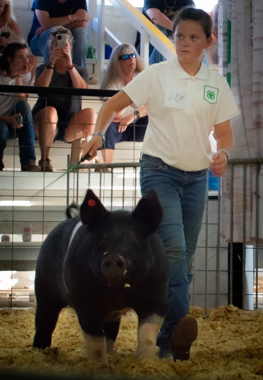 Hog Entering Arena_0462.jpg
