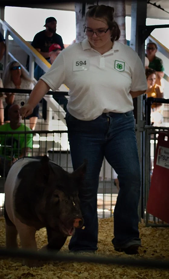 Working with Hog Happily_0479 .jpg