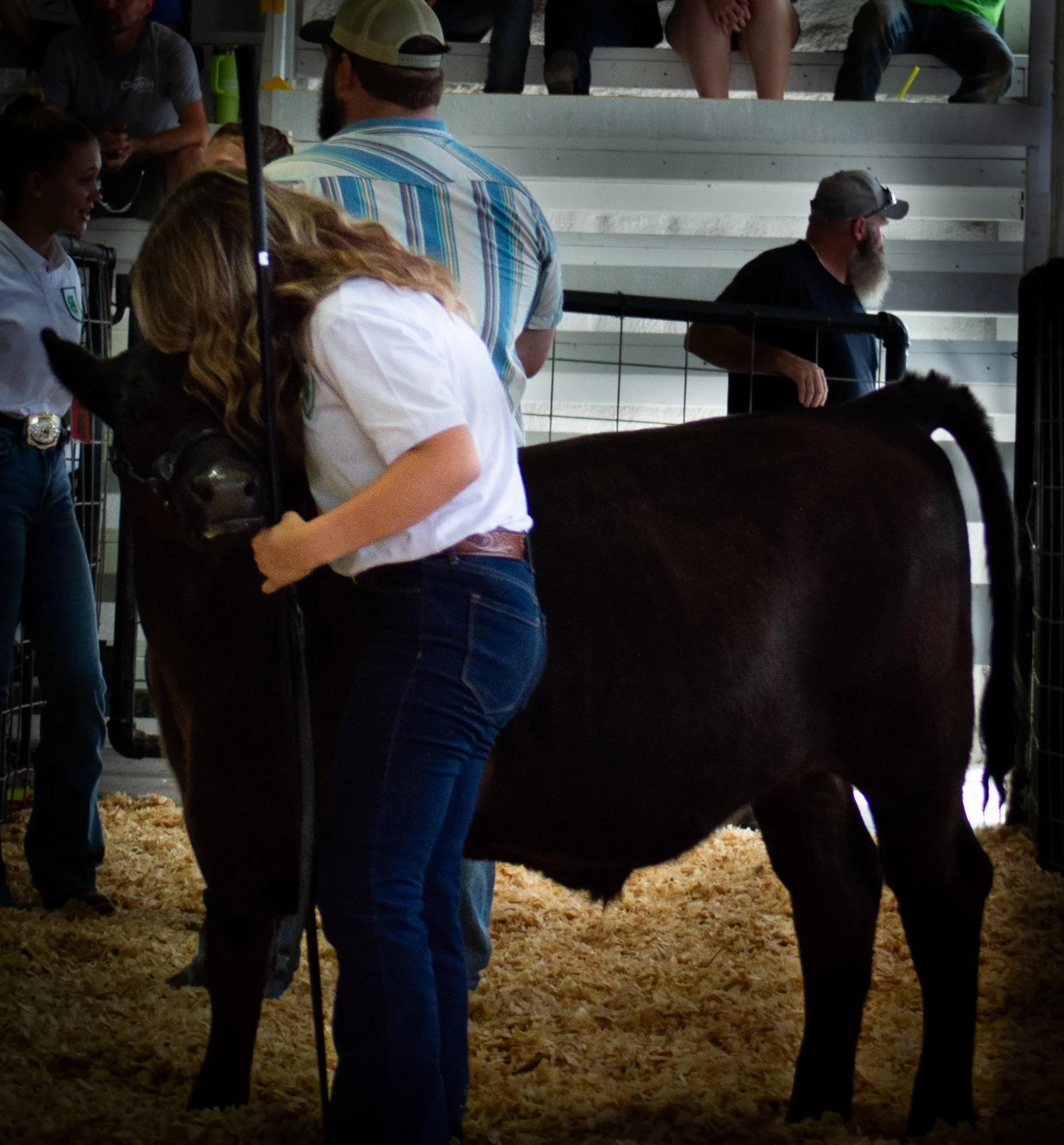 Speaking to Cow in ring_0287.jpg