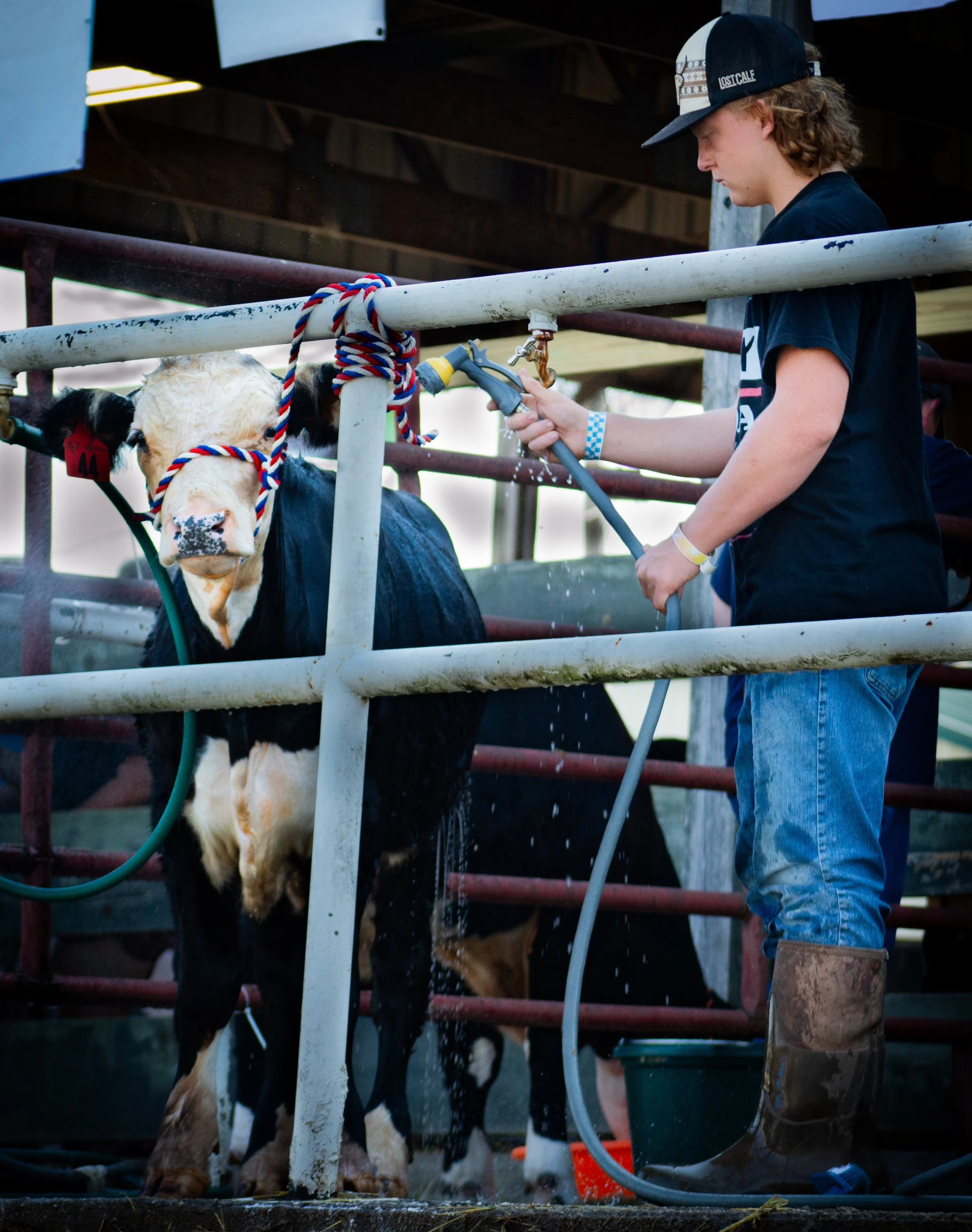 Boy Watering Cow_0014 .jpg