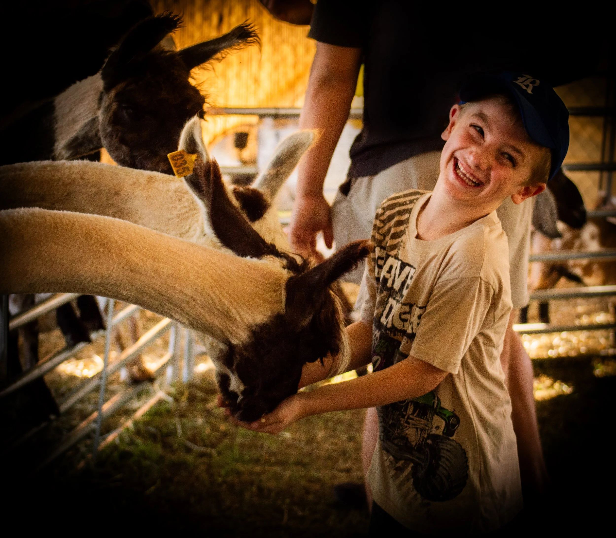 Boy Smiling_0023 .jpg