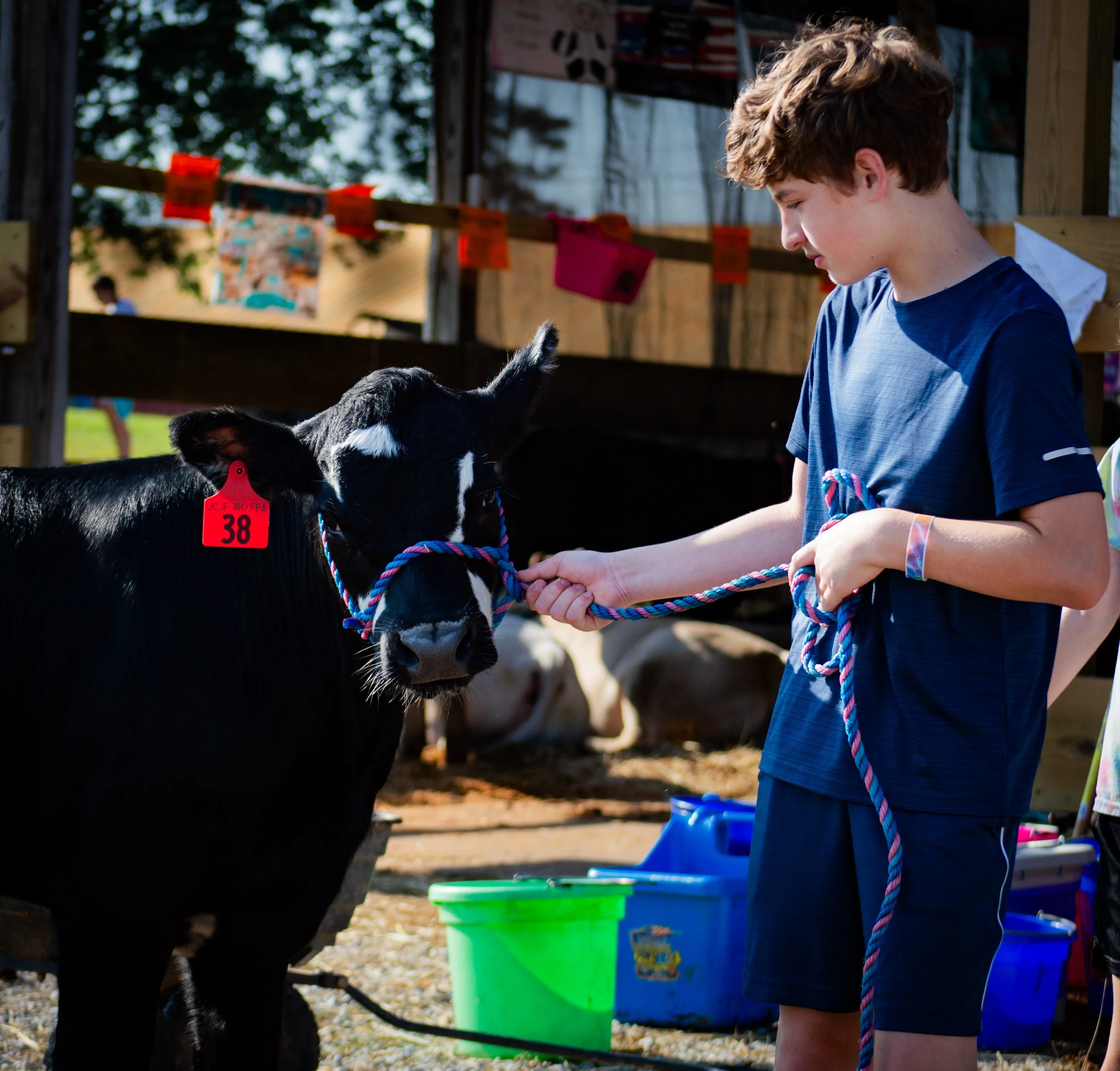 Boy With Cow_0007 .jpg