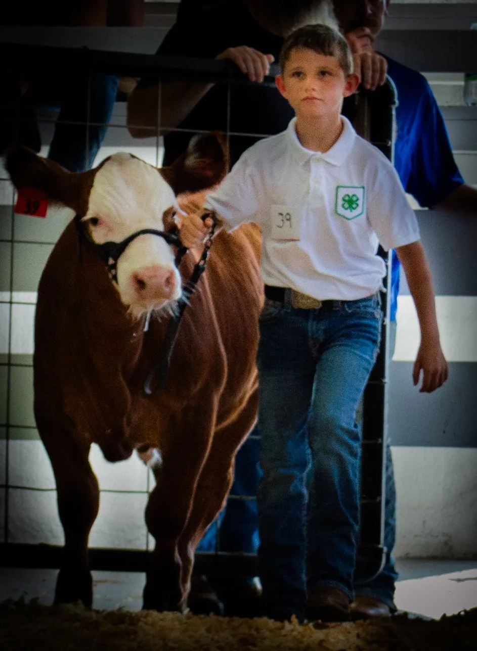 Entering the Ring confidently_0213 .jpg