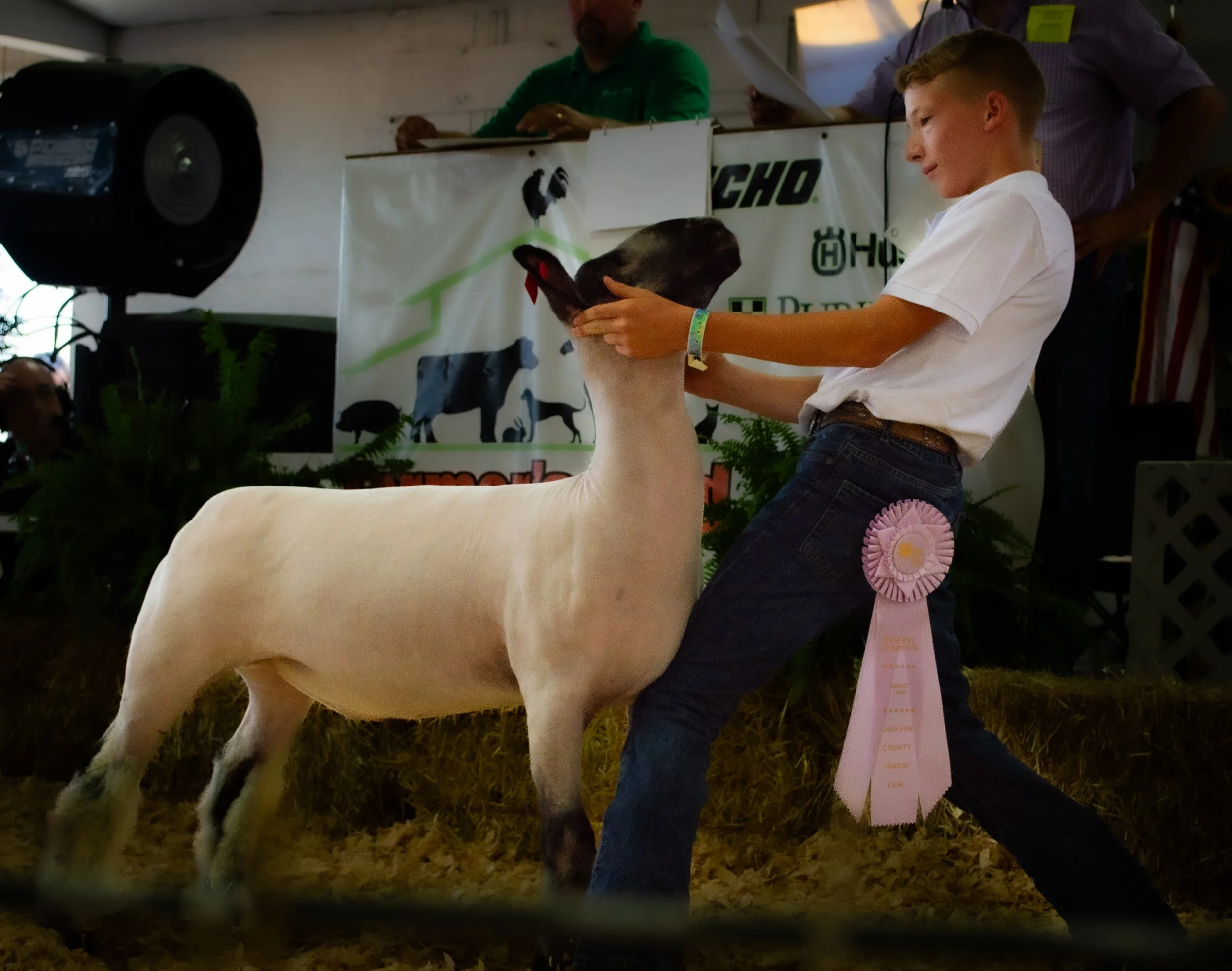 Isaac Selbe and Lamb_0385 .jpg