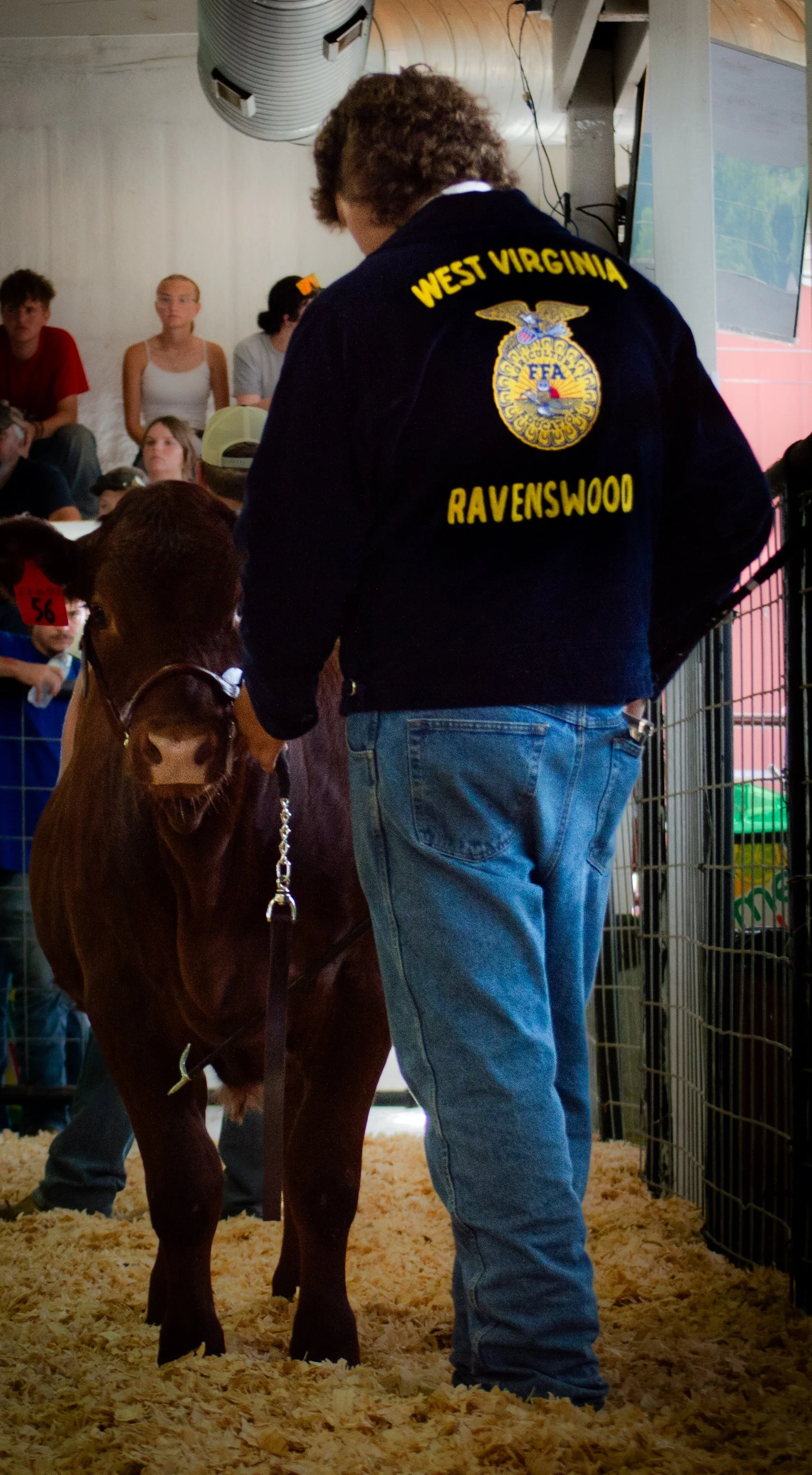FFA Student and Cow in Ring_0248 .jpg
