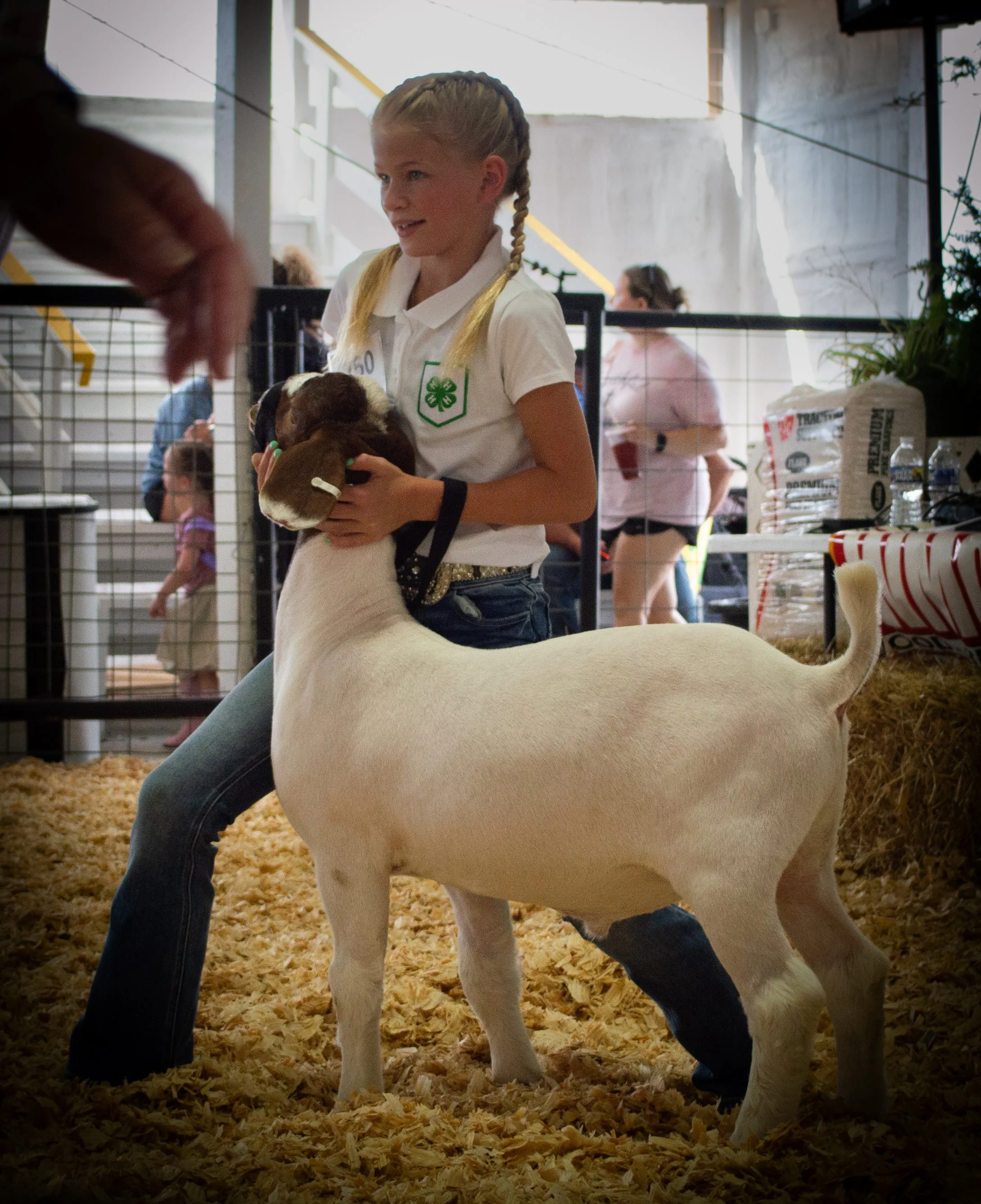 Having Fun in ring_0365 .jpg