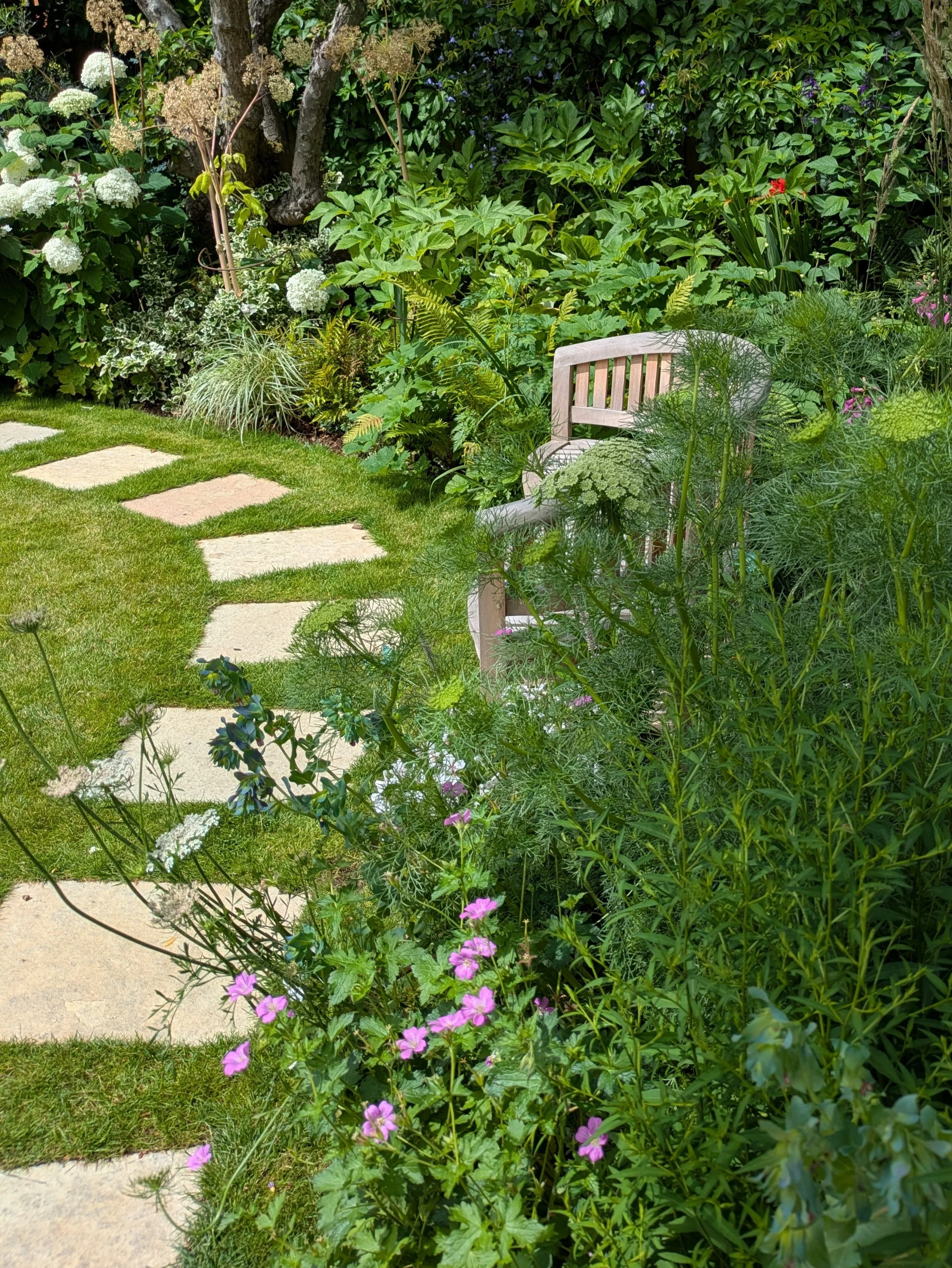 QA_Bench and path crop.JPG
