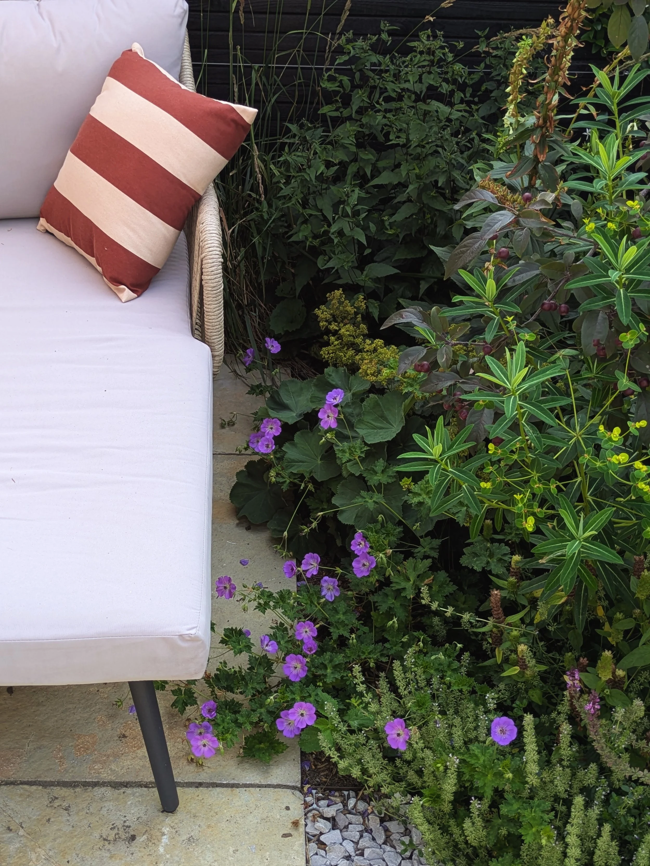 Garden sofa and geraniums