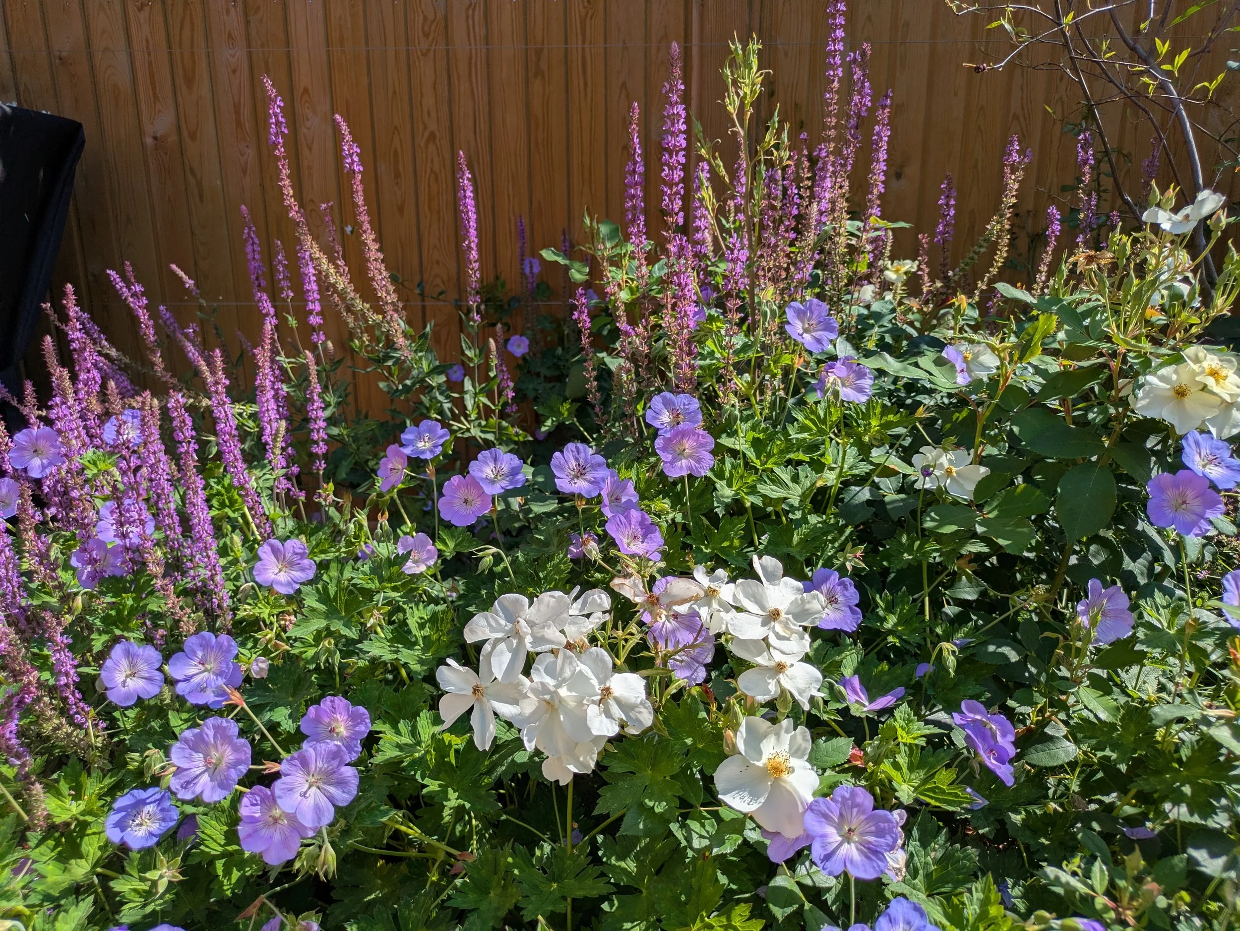 PXL_20260619_085440435.jpg