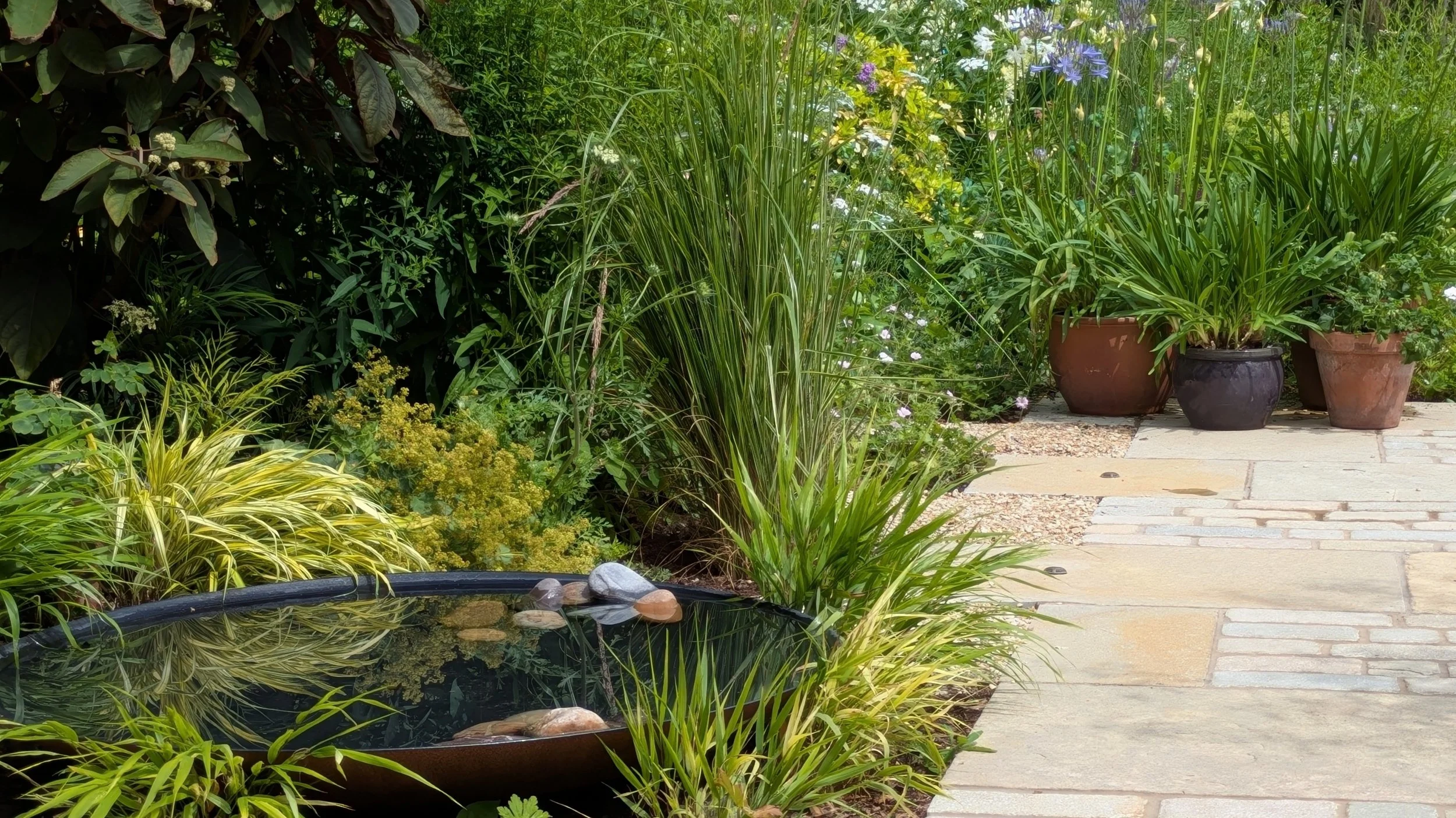 QAbowl and patio crop.JPG
