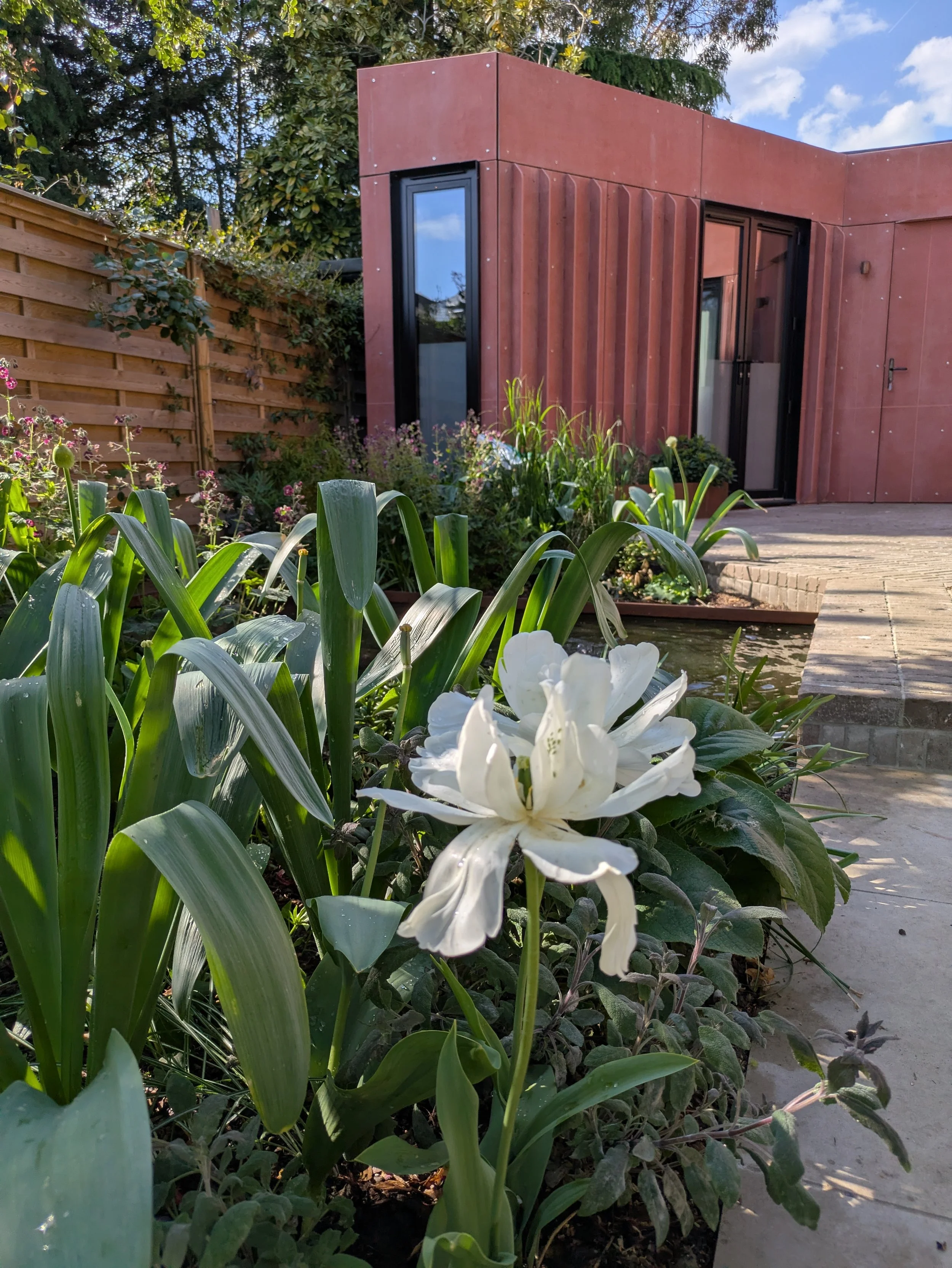 Mixed spring planting