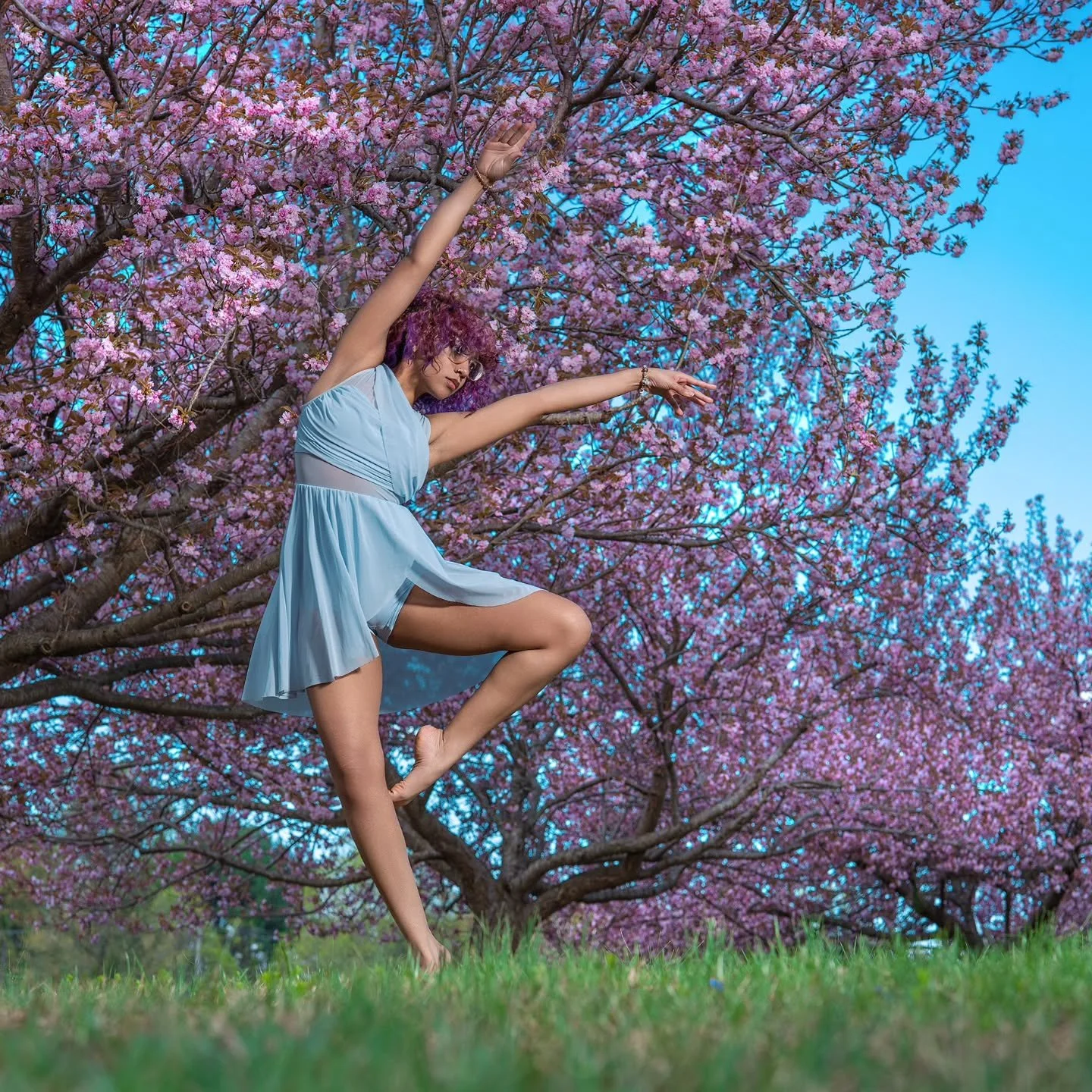 I had been eyeing up this set of Cherry Blossom Trees for many years and finally had a chance to add them to a concept.
www.exvotostudio.com 
Mod: My youngest
Asst: Kyndal W.
Loc: Columbia, MD

#cherryblossom #instagood #iplaywithlight
#Fujifilm #pra