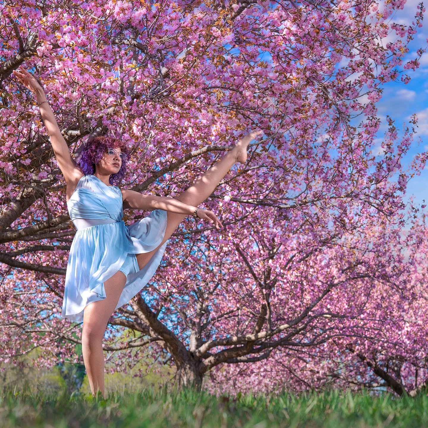 Until next year Cherry Blossoms.
www.exvotostudio.com 
InFr: My youngest
Loc: Columbia MD
Asst: Kyndal W.

#iplaywithlight #instagood #prazemagazine #dynamicportraits #cherryblossom