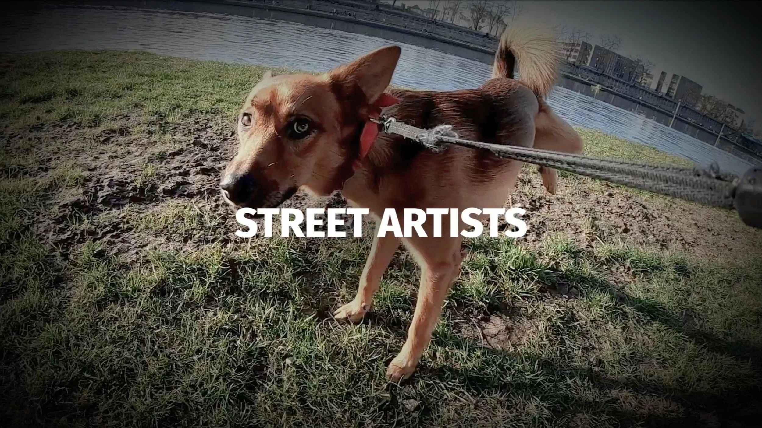 Barksy / Activation / The MasterPees Collection