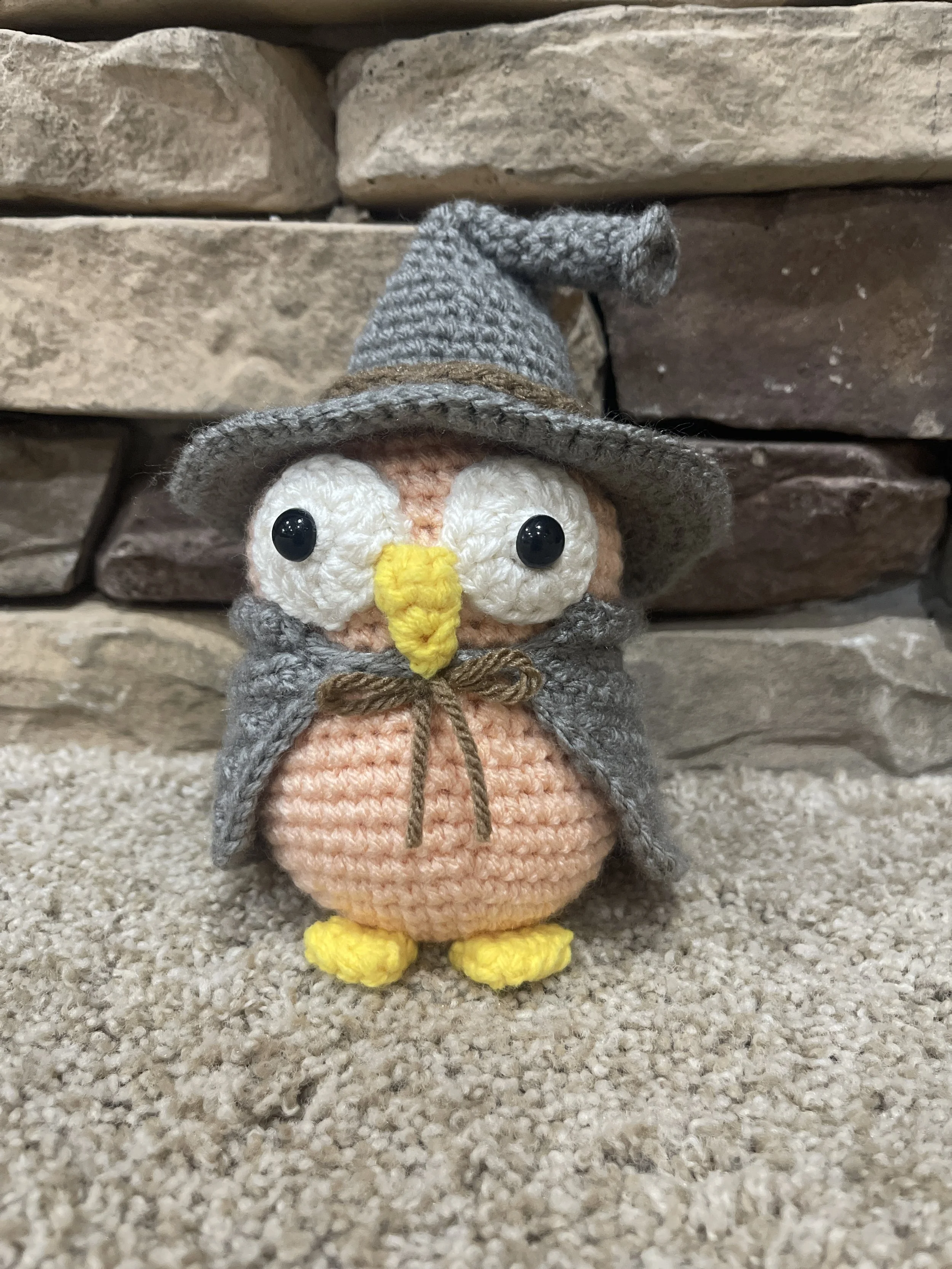 Owl in witch's outfit