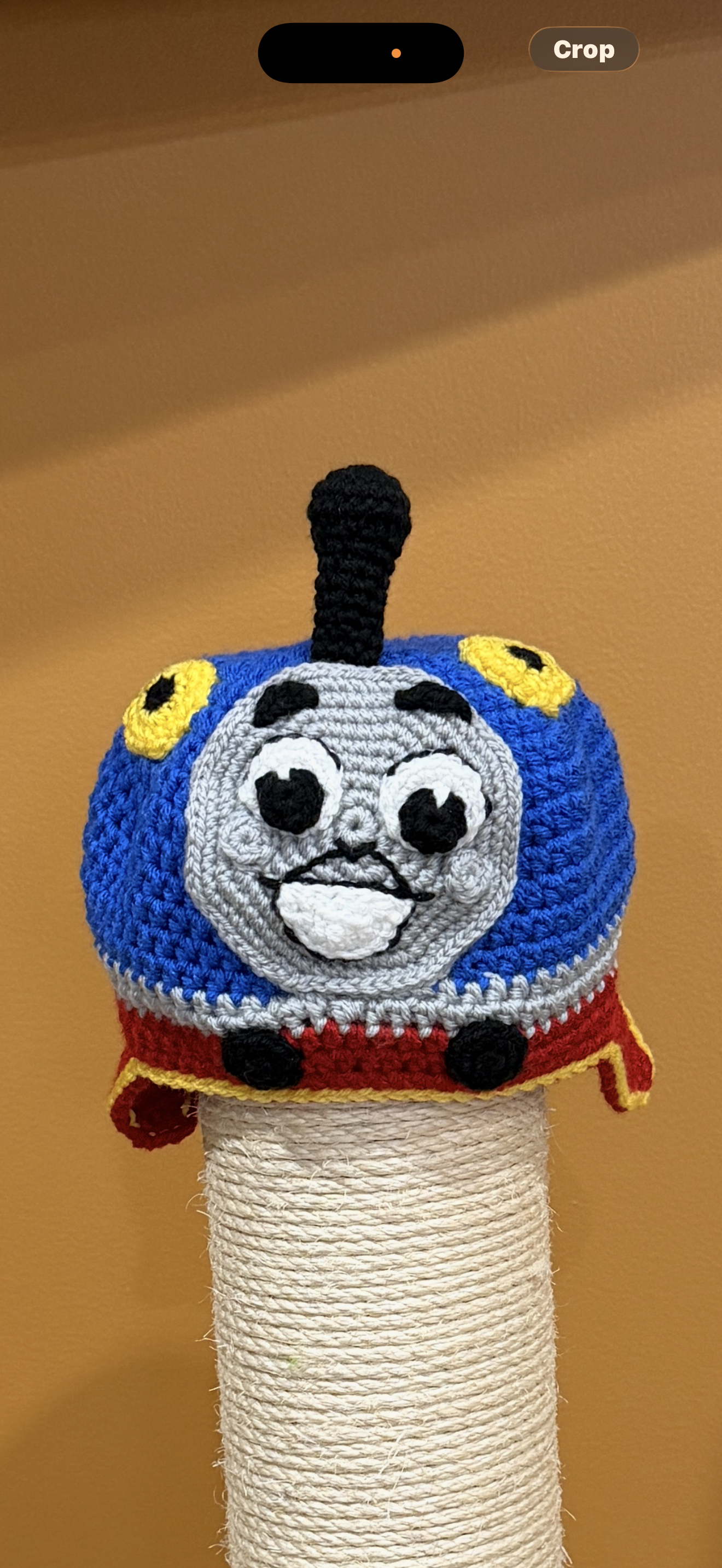 Thomas Hat - child's - $30