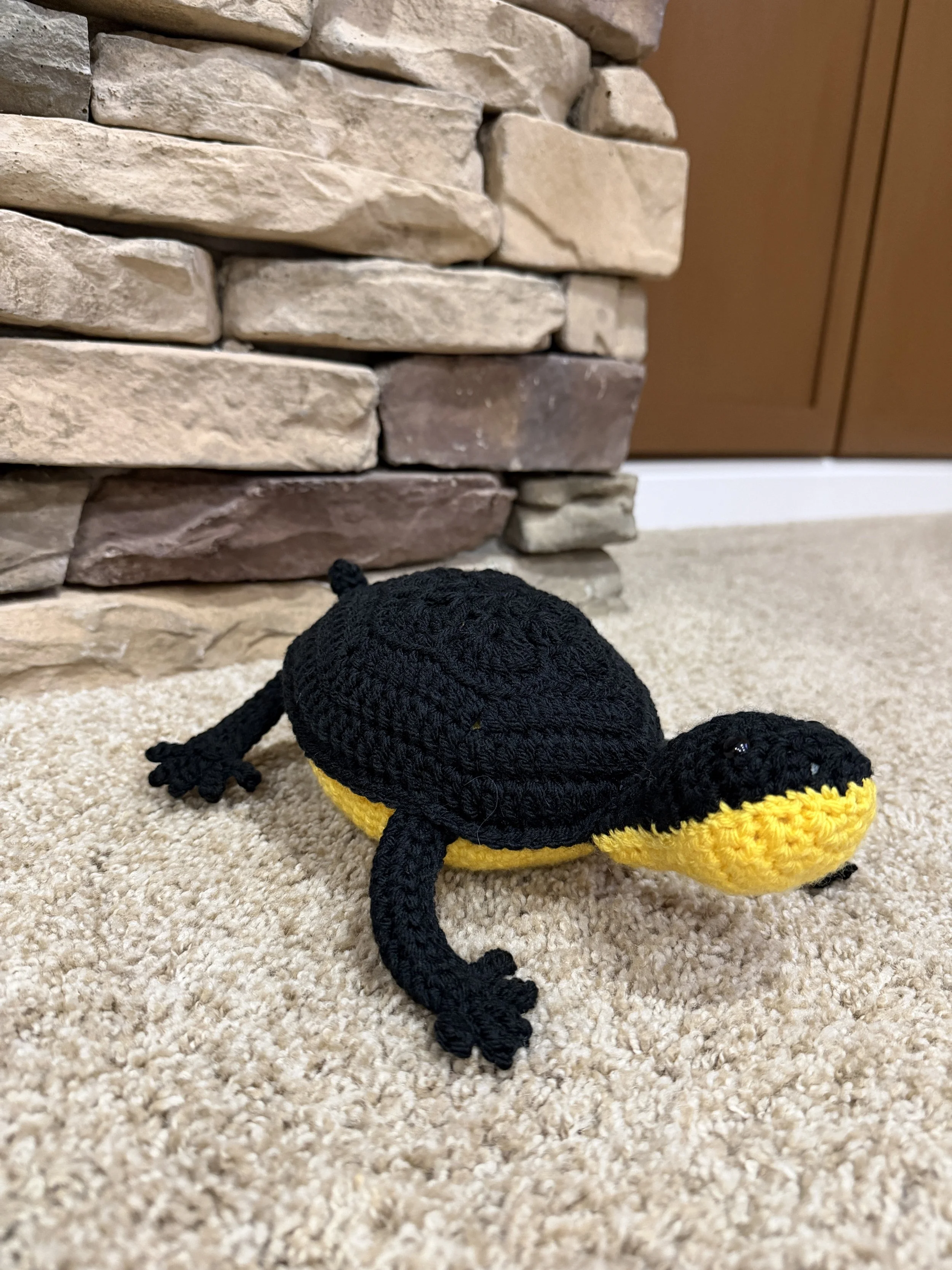 Blanding's Turtle - $30