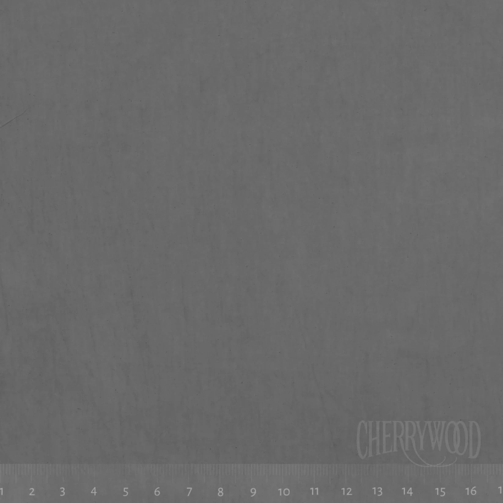 1330Elephantwm-min.jpg