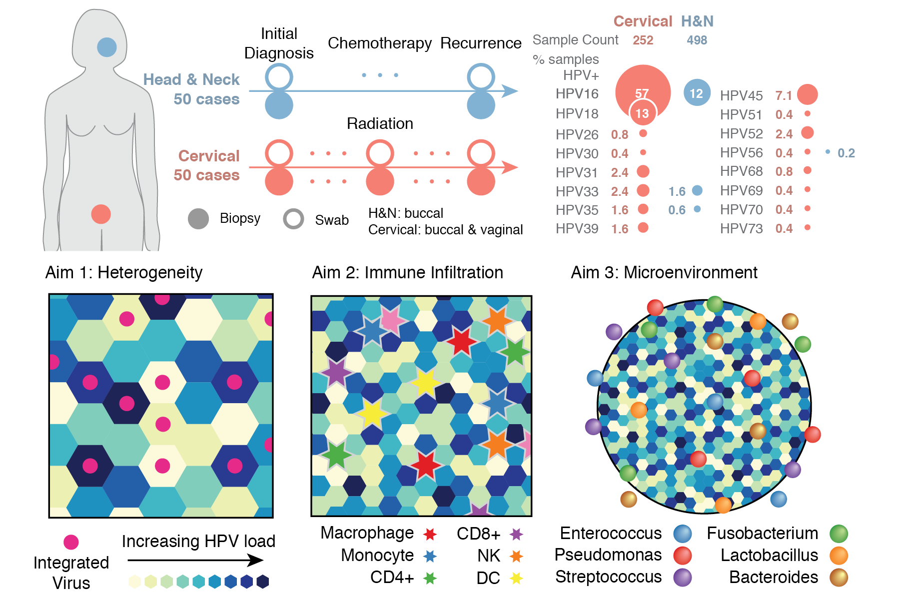 Portfolio 2026_Experime60.png