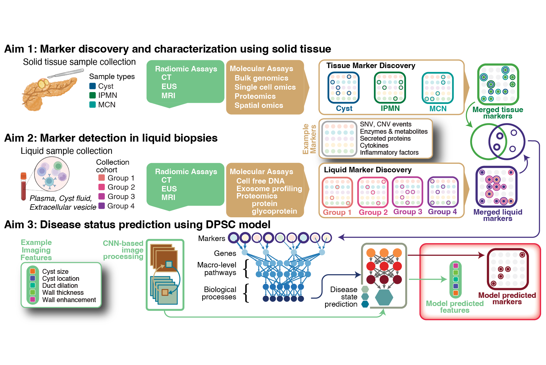 Portfolio 2026_workflow16.png