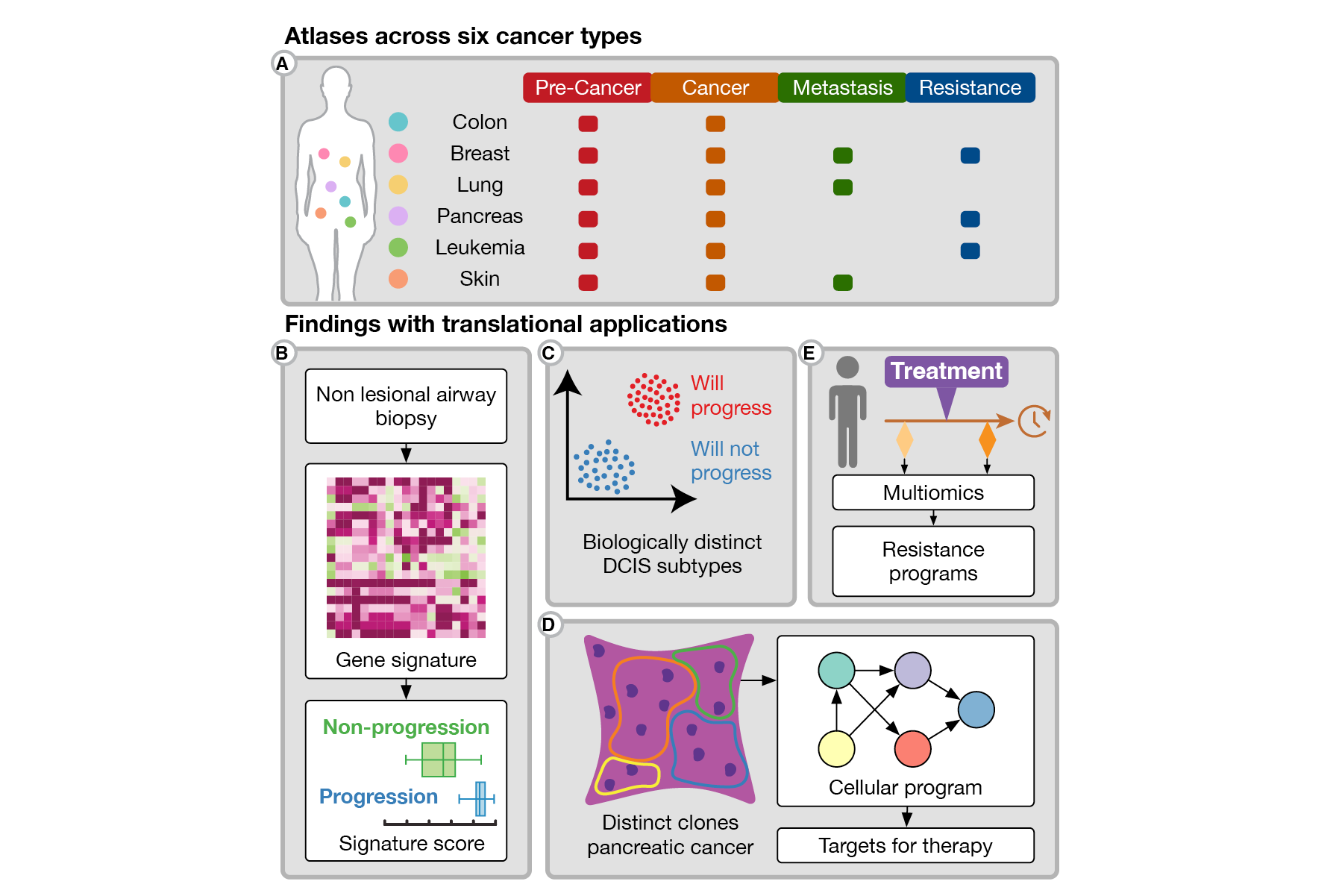 Portfolio 2026b_Workflow24.png