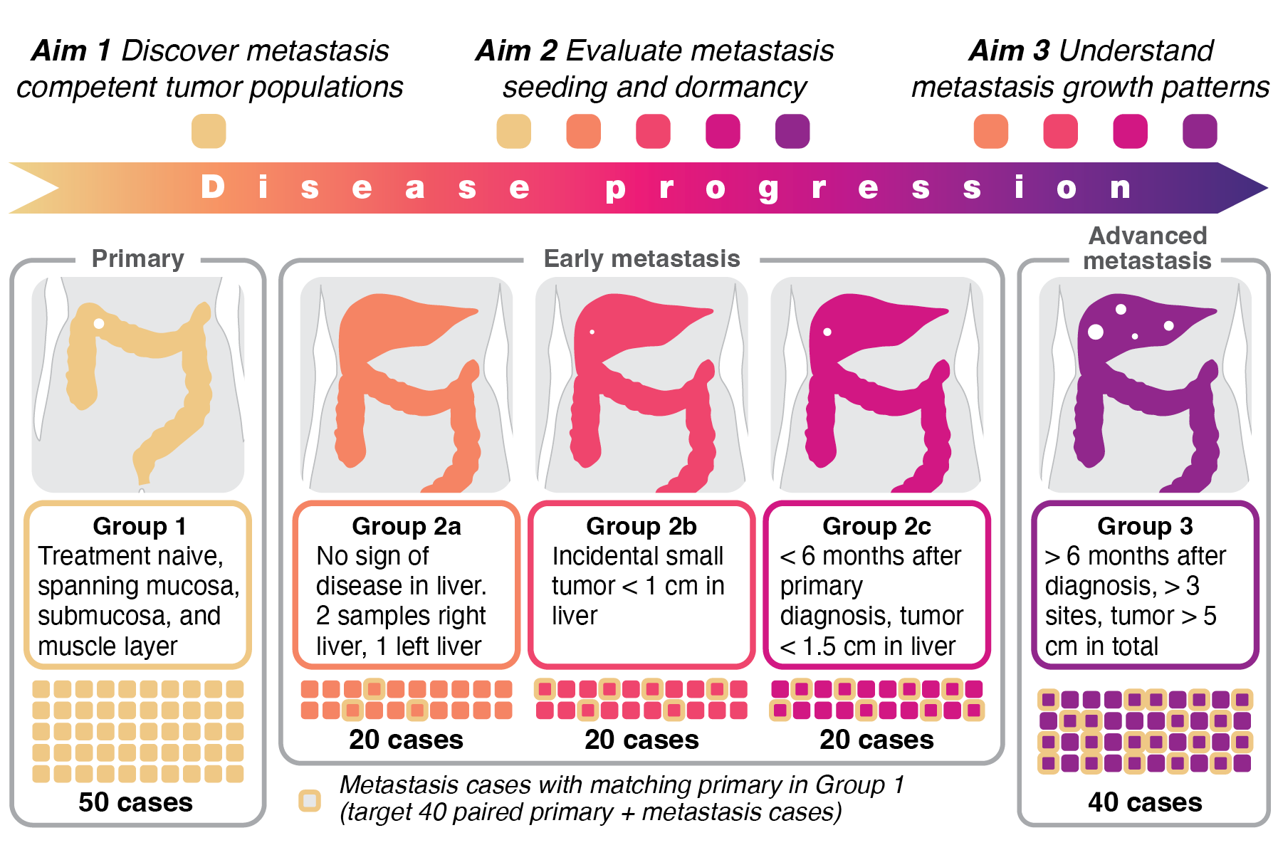 Portfolio 2026_Experime49.png