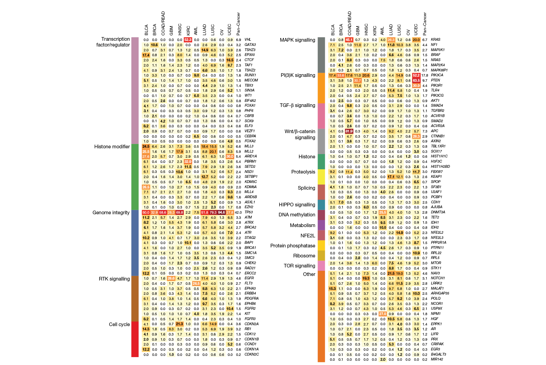 Genetic mutations across cancer types (Nature, 2013): Key figure in a landmark paper illustrating patterns of genetic mutations across cancer types.  Click image for details